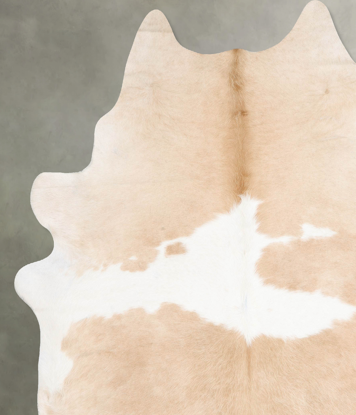 Beige and White XX-Large Brazilian Cowhide Rug 8'10"H x 7'0"W #B29043 by Hudson Hides