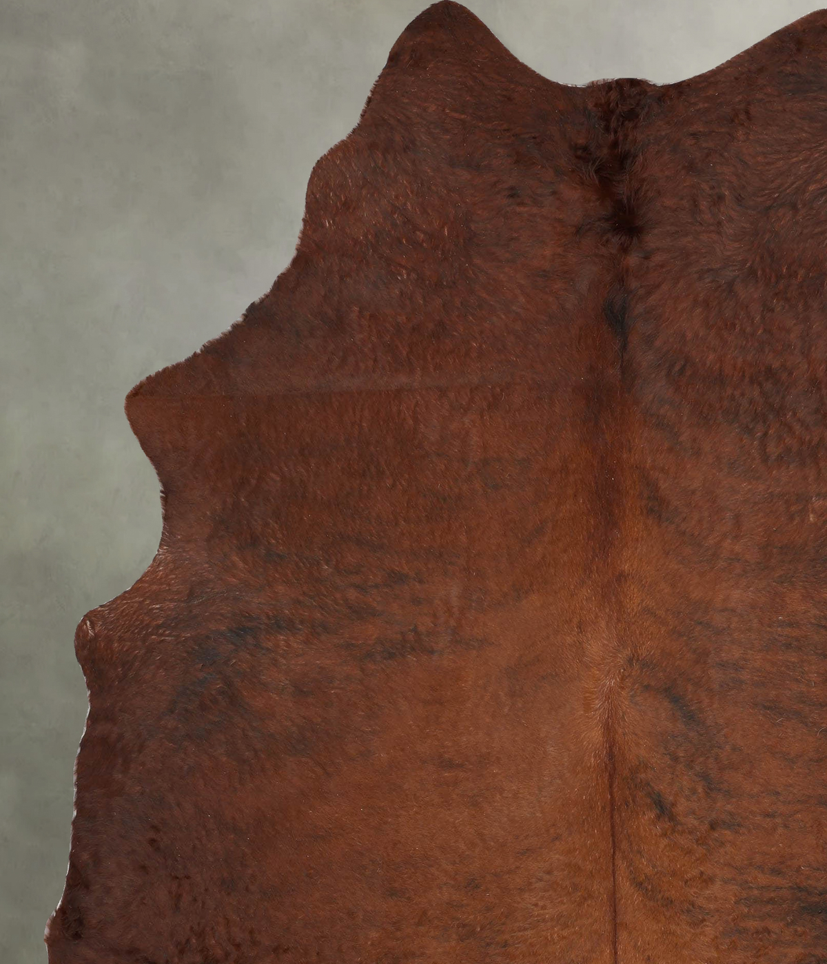 Medium Brindle XX-Large Brazilian Cowhide Rug 8'5"H x 6'3"W #B29044 by Hudson Hides