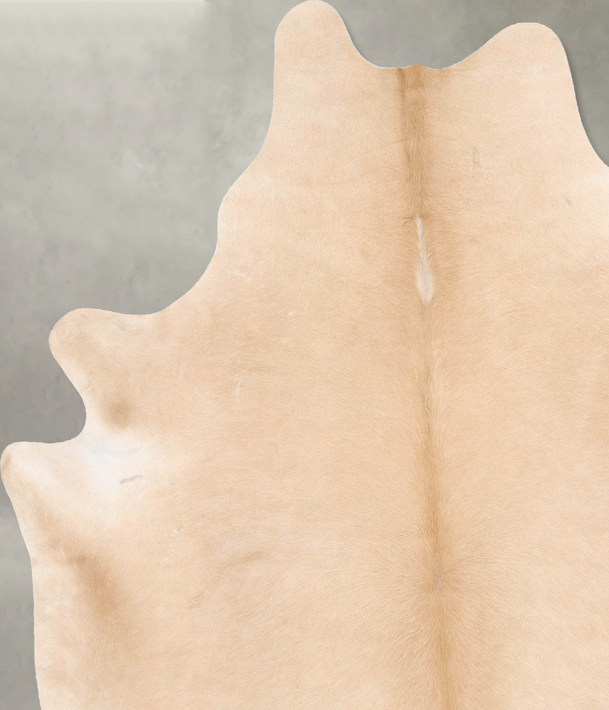 Beige XX-Large Brazilian Cowhide Rug 8'2"H x 6'6"W #B29045 by Hudson Hides