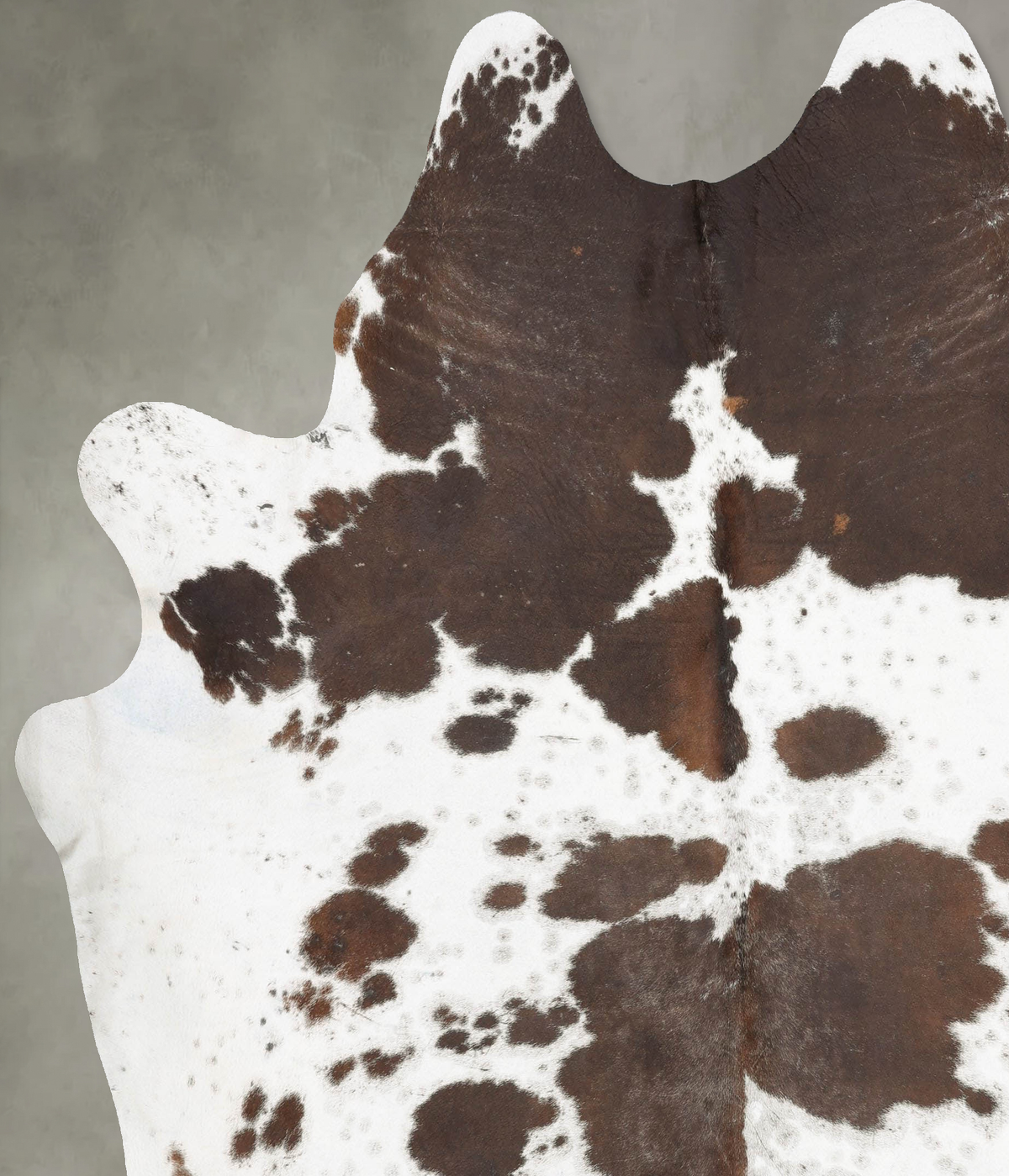 Chocolate and White XX-Large Brazilian Cowhide Rug 8'4"H x 7'3"W #B29046 by Hudson Hides