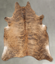 Medium Brindle XX-Large Brazilian Cowhide Rug 7'11"H x 7'0"W #B29047 by Hudson Hides
