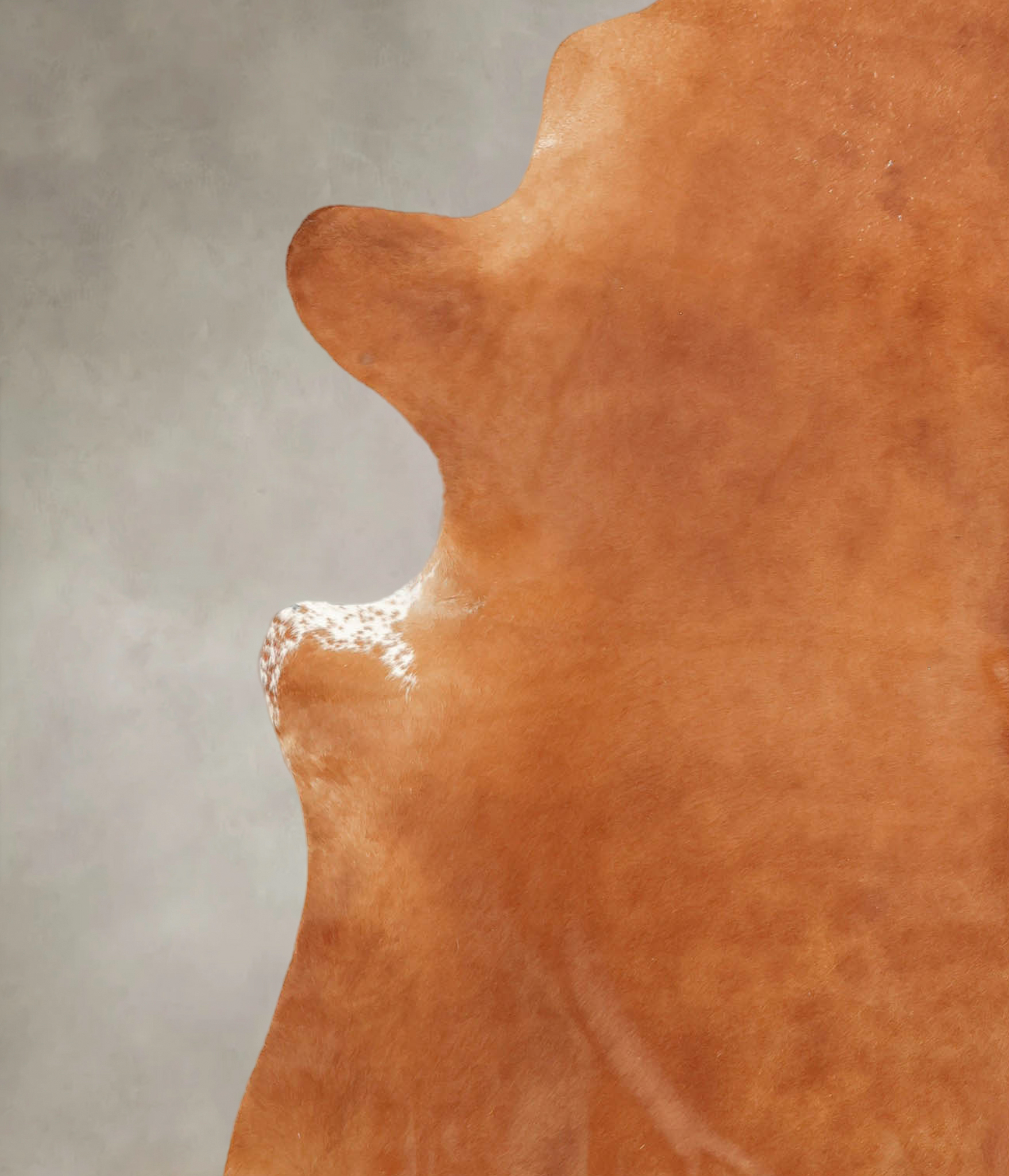 Solid Brown Cowhide Rug #B2905