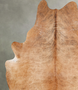 Medium Brindle XX-Large Brazilian Cowhide Rug 8'6"H x 6'11"W #B29051 by Hudson Hides