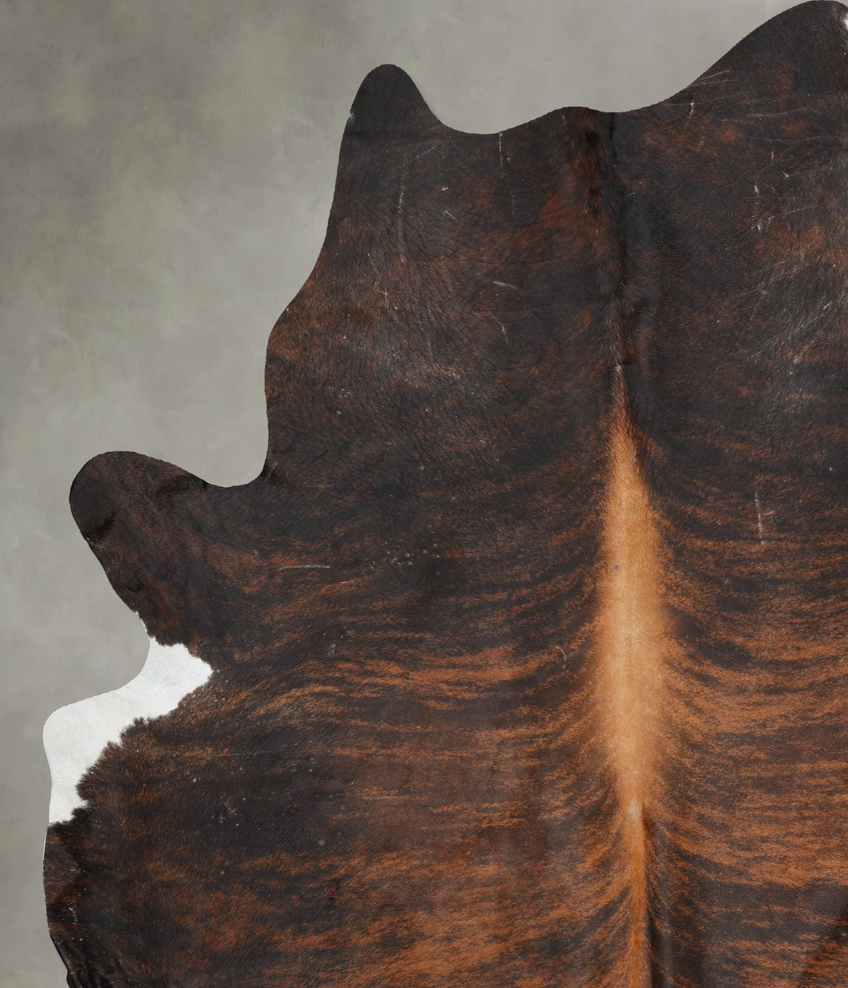 Dark Brindle XX-Large Brazilian Cowhide Rug 8'8"H x 6'11"W #B29052 by Hudson Hides