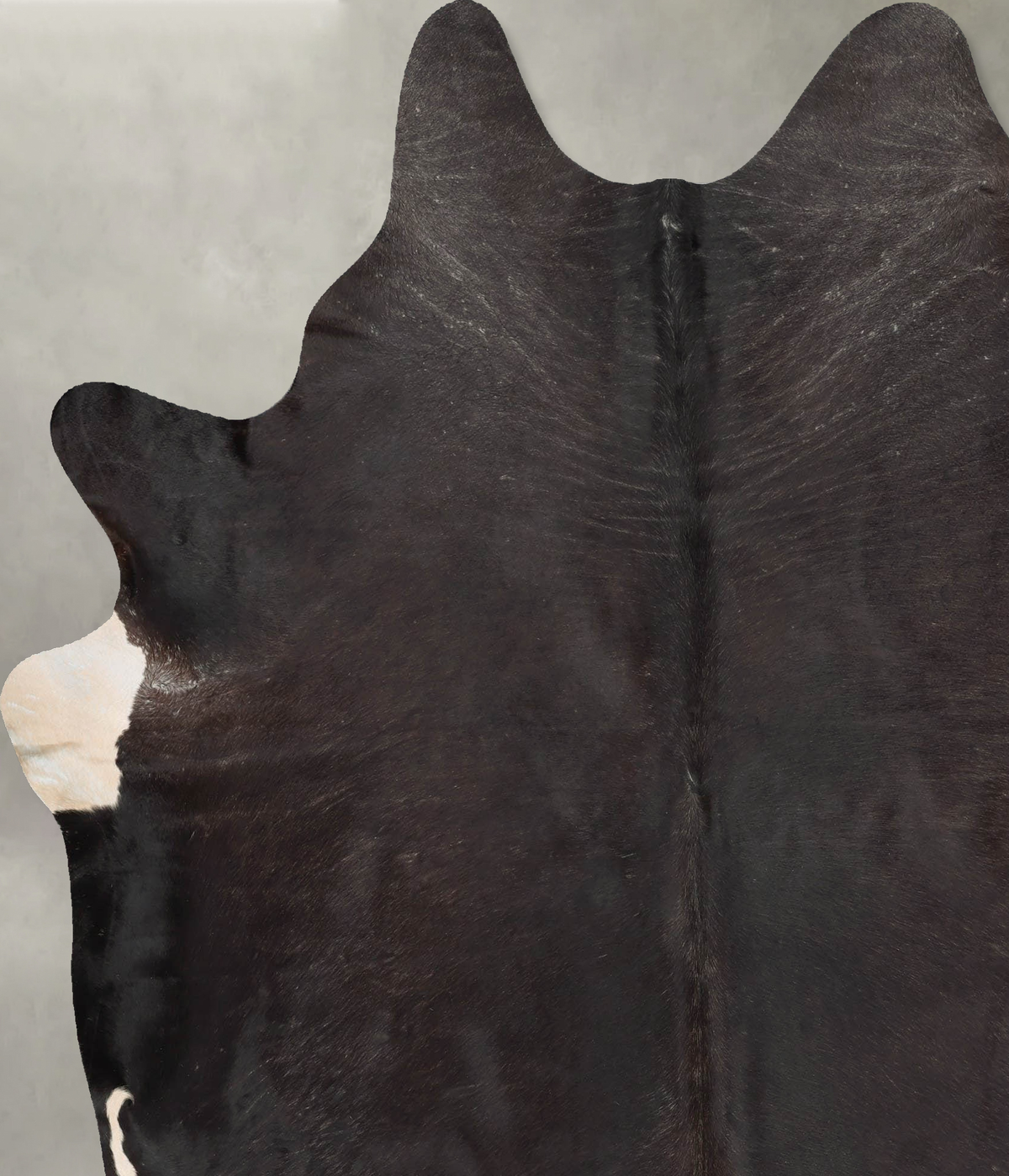 Chocolate XX-Large Brazilian Cowhide Rug 7'11"H x 6'7"W #B29053 by Hudson Hides