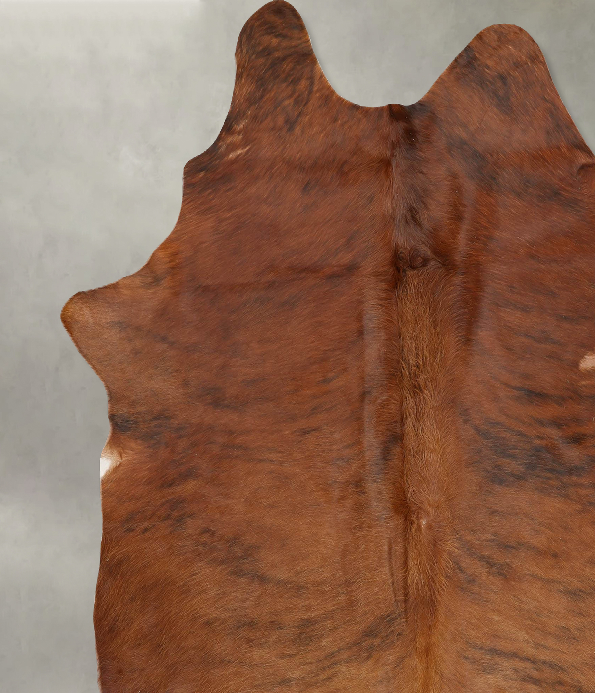 Medium Brindle XX-Large Brazilian Cowhide Rug 7'11"H x 6'7"W #B29056 by Hudson Hides