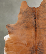 Medium Brindle X-Large Brazilian Cowhide Rug 7'7"H x 5'9"W #B29057 by Hudson Hides