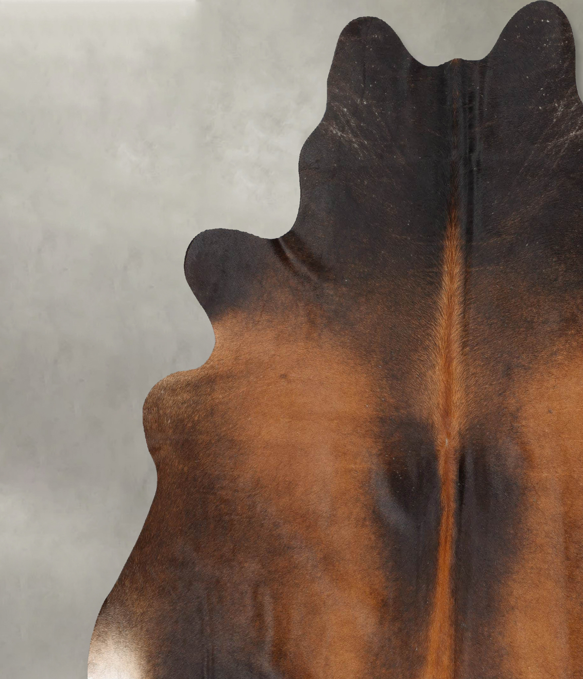 Chocolate XX-Large Brazilian Cowhide Rug 7'4"H x 7'3"W #B29067 by Hudson Hides