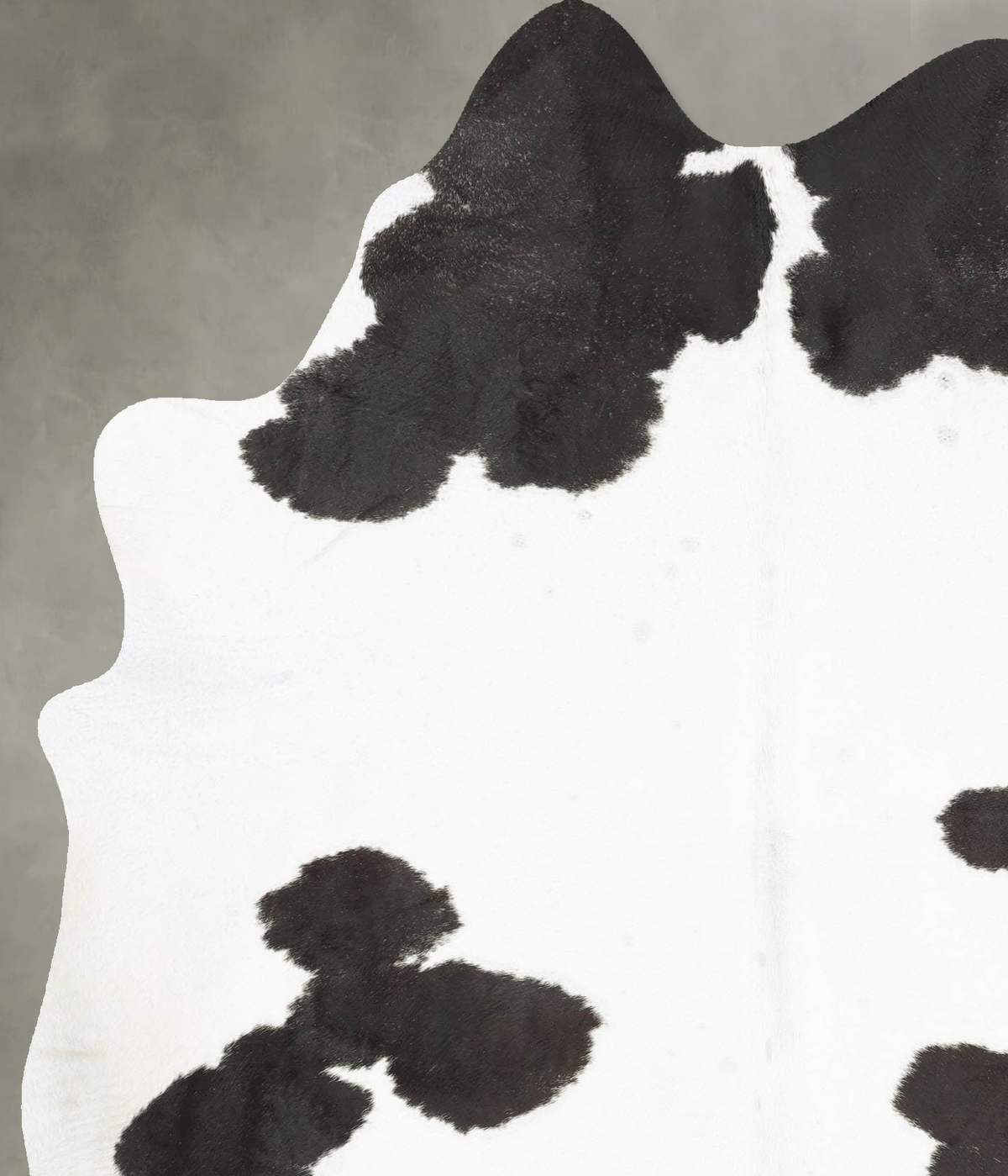 Black and White X-Large Brazilian Cowhide Rug 7'5"H x 5'6"W #B29071 by Hudson Hides
