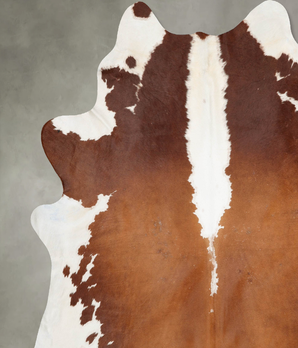 Brown and White Regular XX-Large Brazilian Cowhide Rug 8'7"H x 7'8"W #B29073 by Hudson Hides