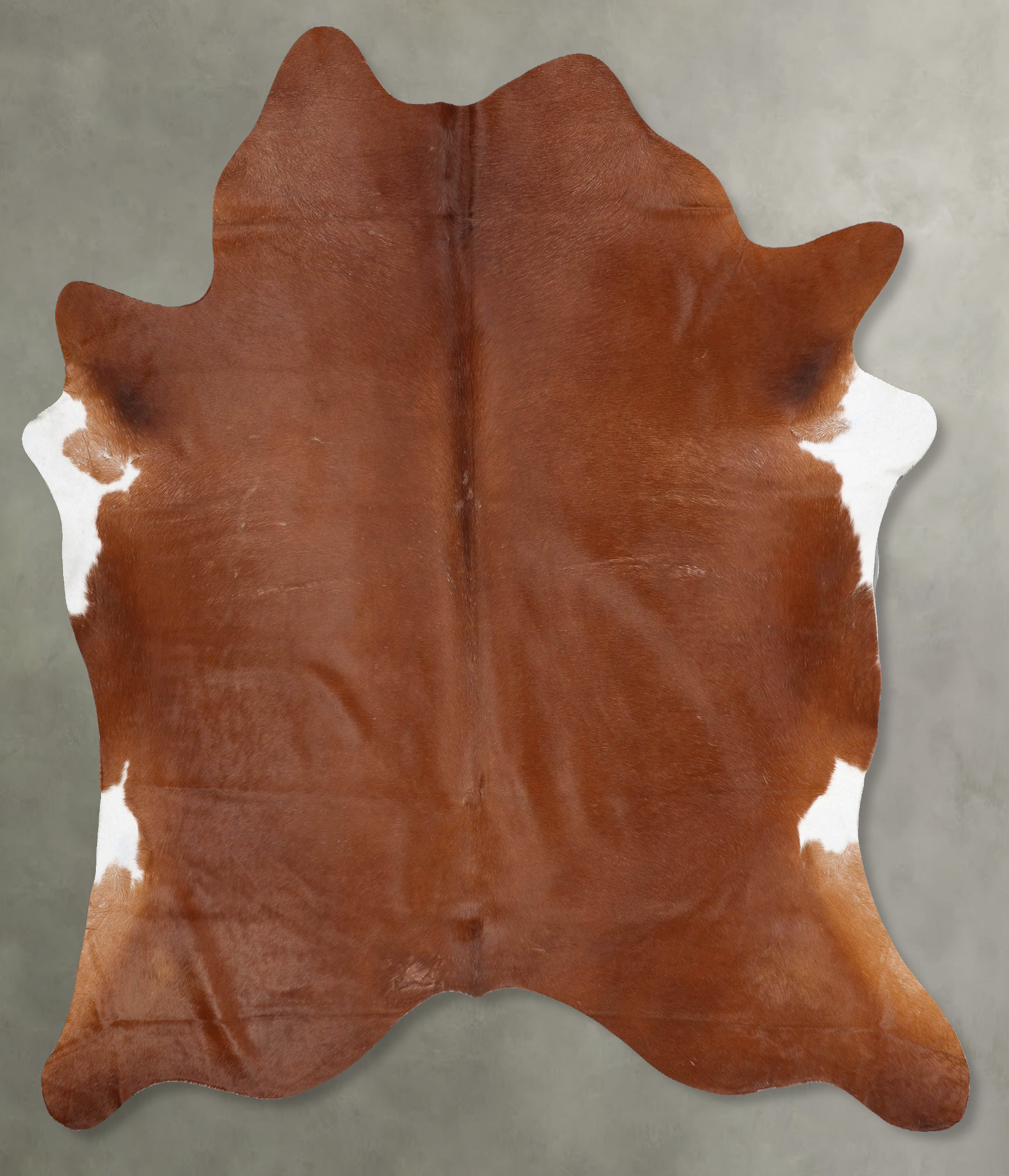 Solid Brown Cowhide Rug #B29076