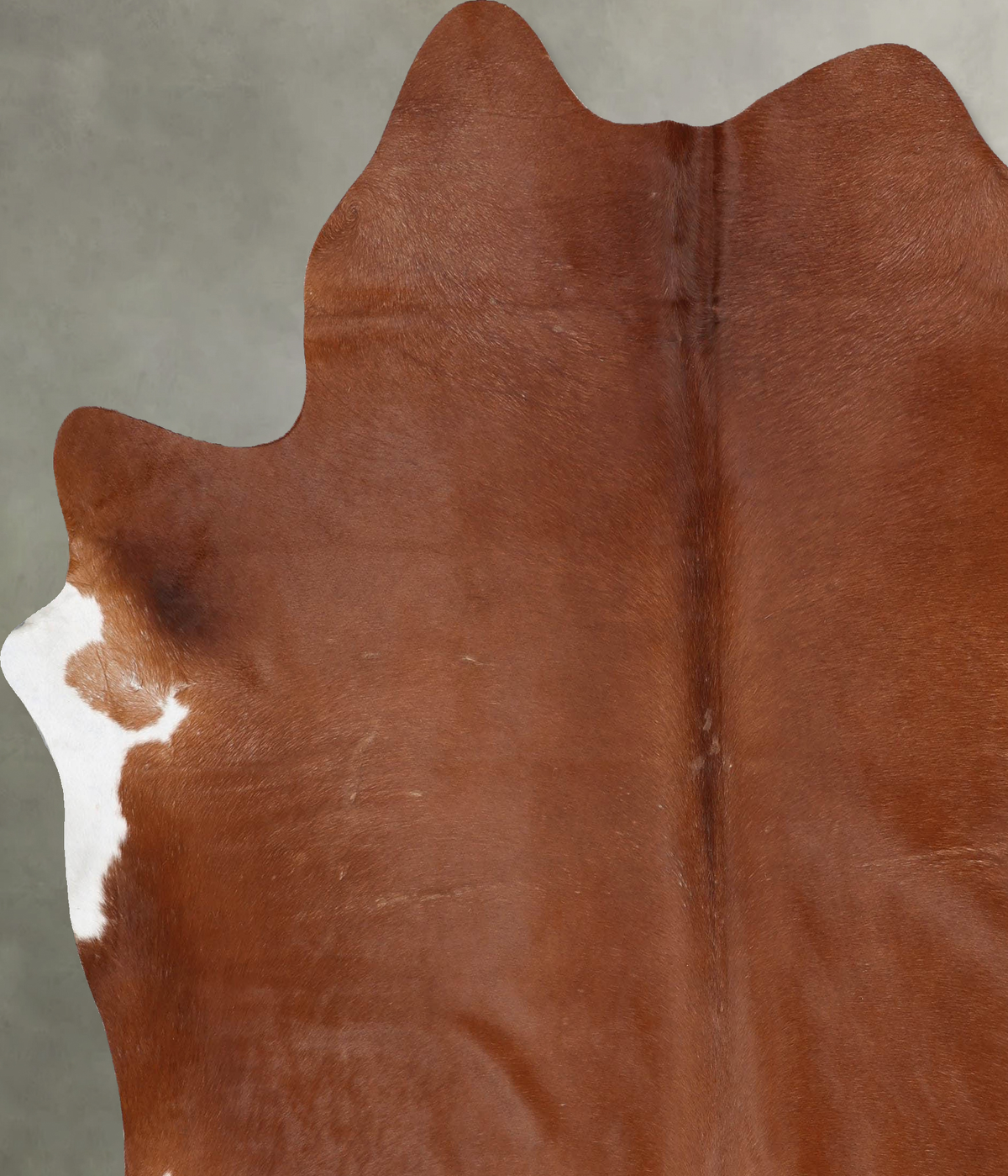 Solid Brown XX-Large Brazilian Cowhide Rug 8'0"H x 7'4"W #B29076 by Hudson Hides