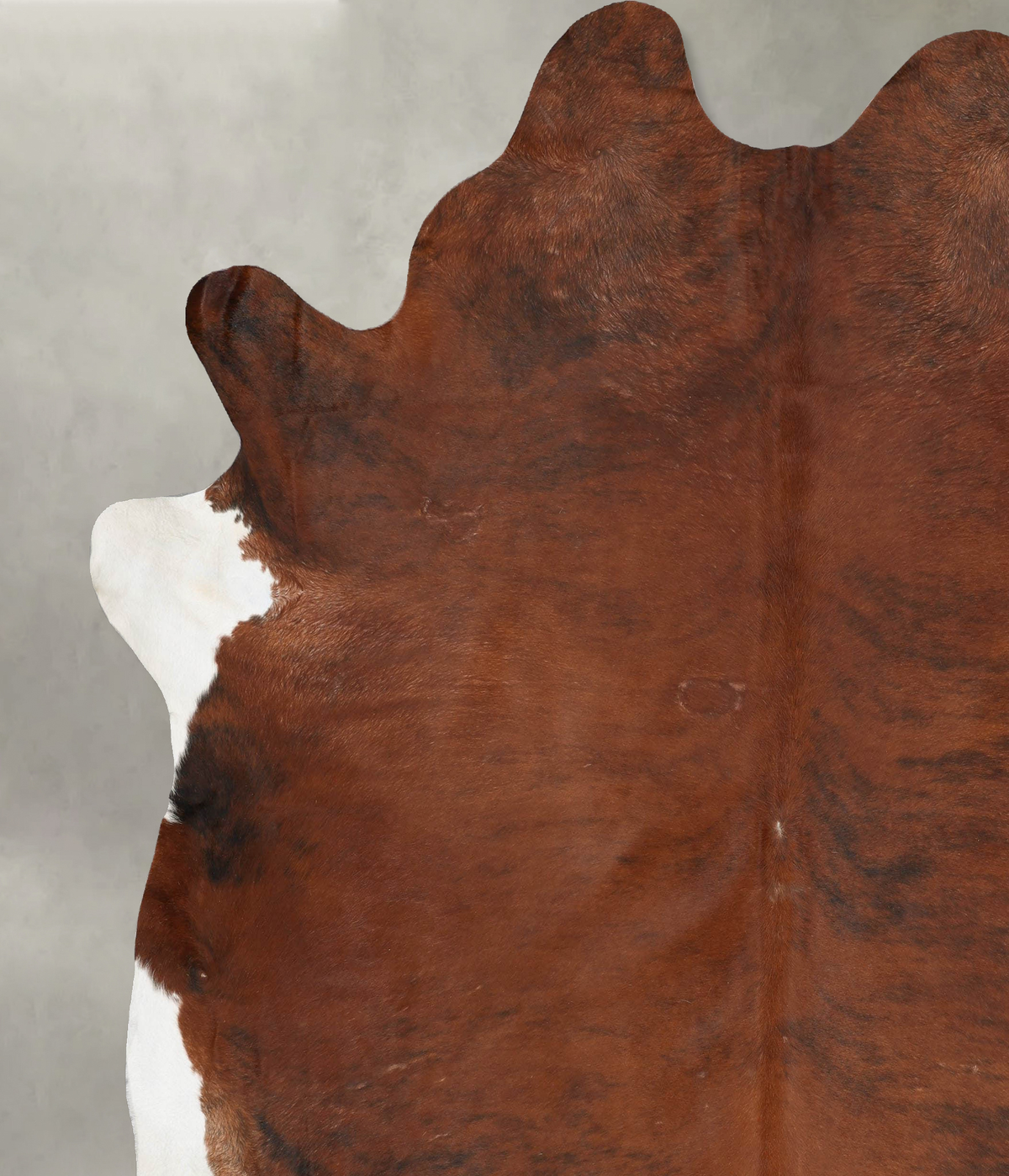 Medium Brindle XX-Large Brazilian Cowhide Rug 9'3"H x 8'3"W #B29082 by Hudson Hides