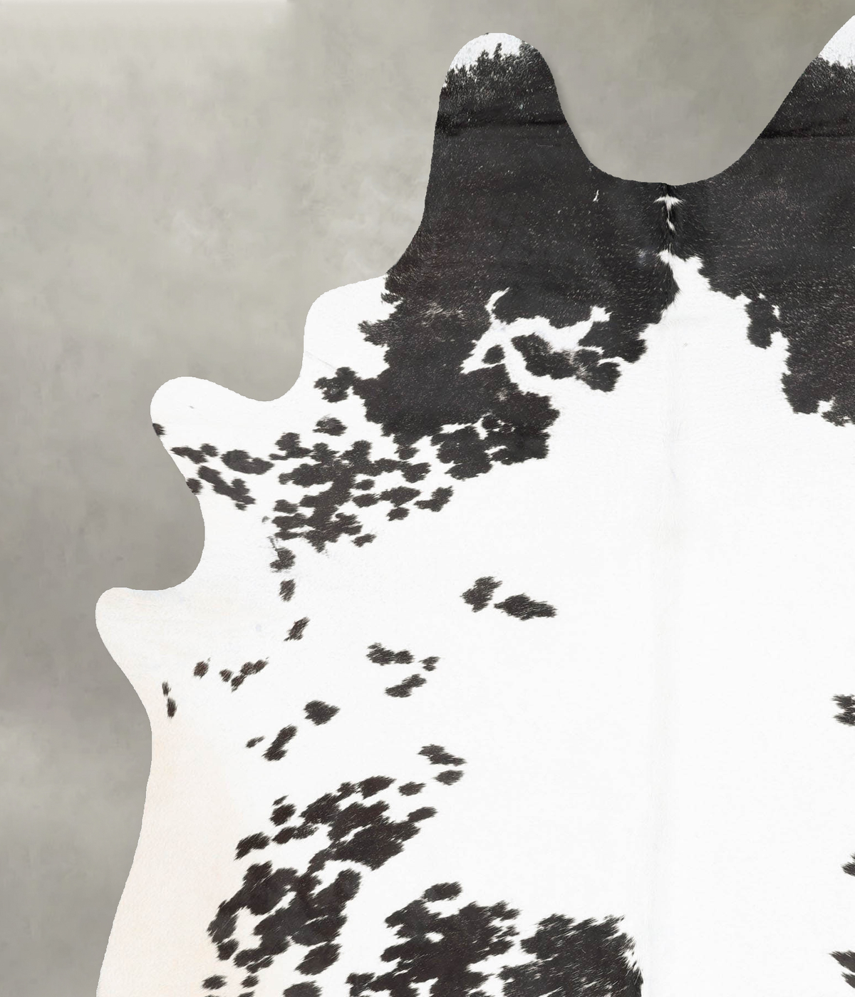Black and White XX-Large Brazilian Cowhide Rug 8'6"H x 6'1"W #B29083 by Hudson Hides