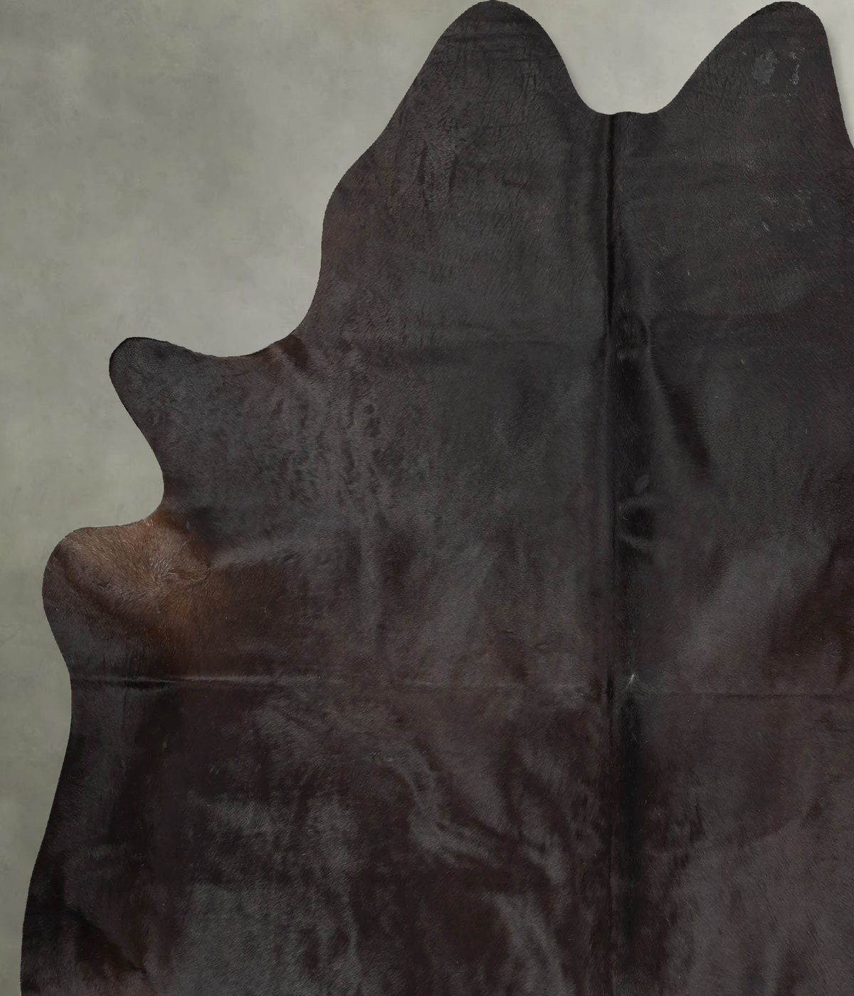 Chocolate XX-Large Brazilian Cowhide Rug 8'2"H x 6'8"W #B29084 by Hudson Hides