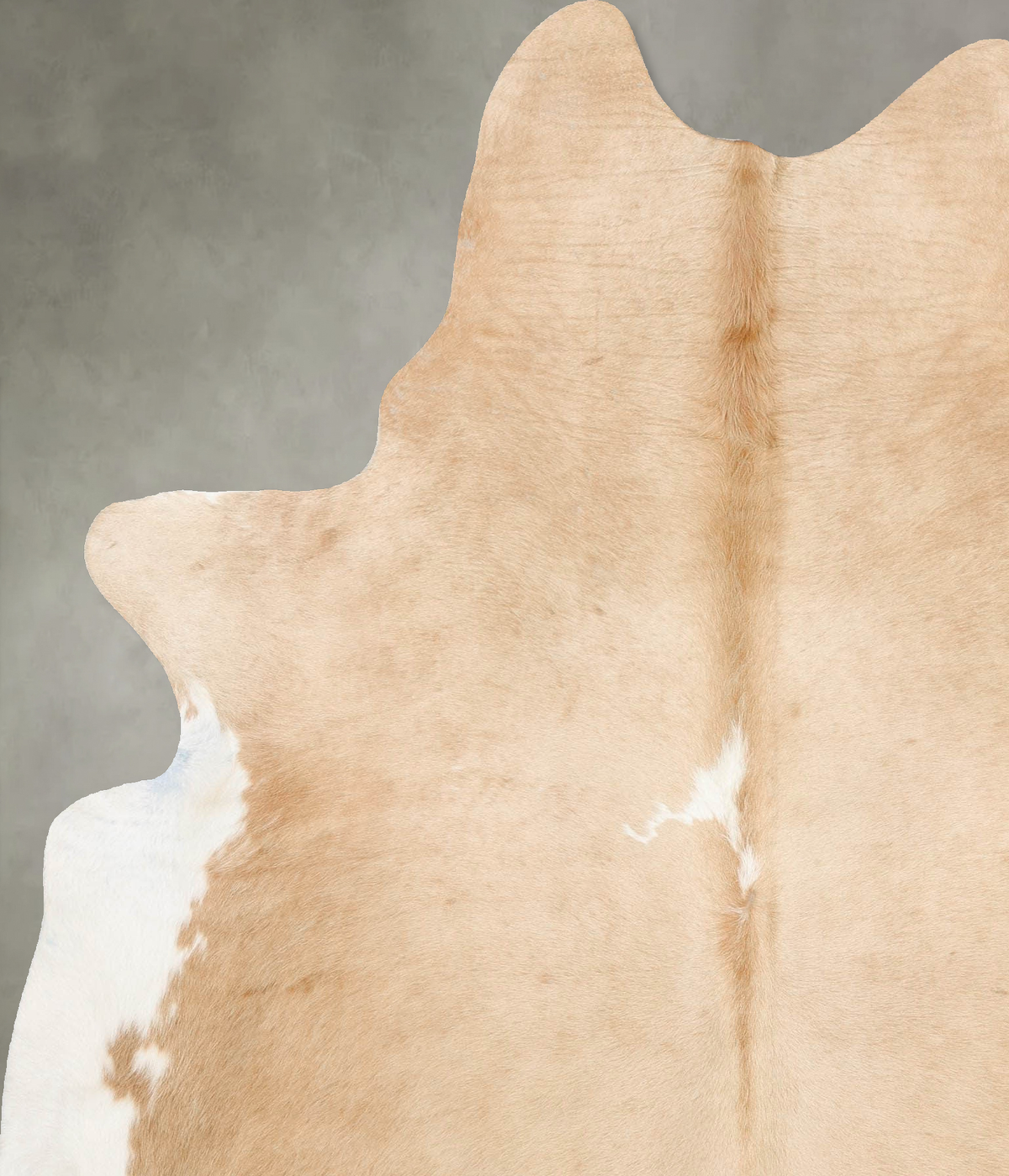 Beige and White X-Large Brazilian Cowhide Rug 7'9"H x 6'0"W #B29085 by Hudson Hides