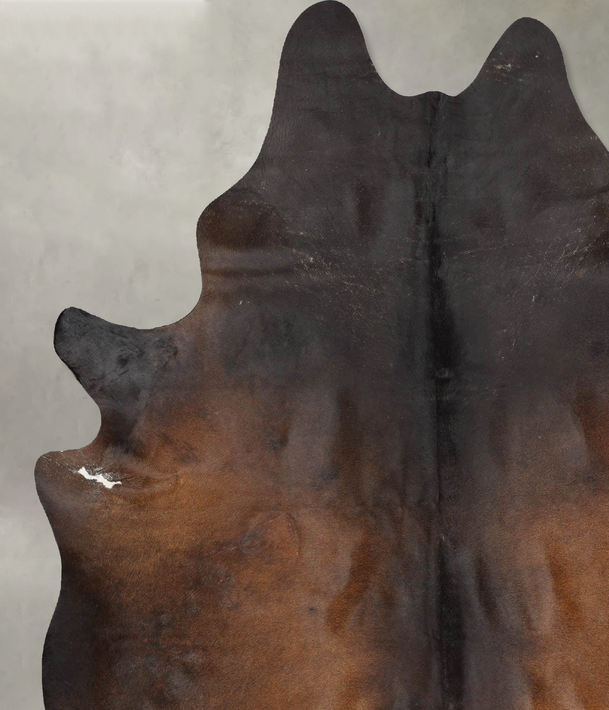 Chocolate X-Large Brazilian Cowhide Rug 7'11"H x 6'1"W #B29094 by Hudson Hides