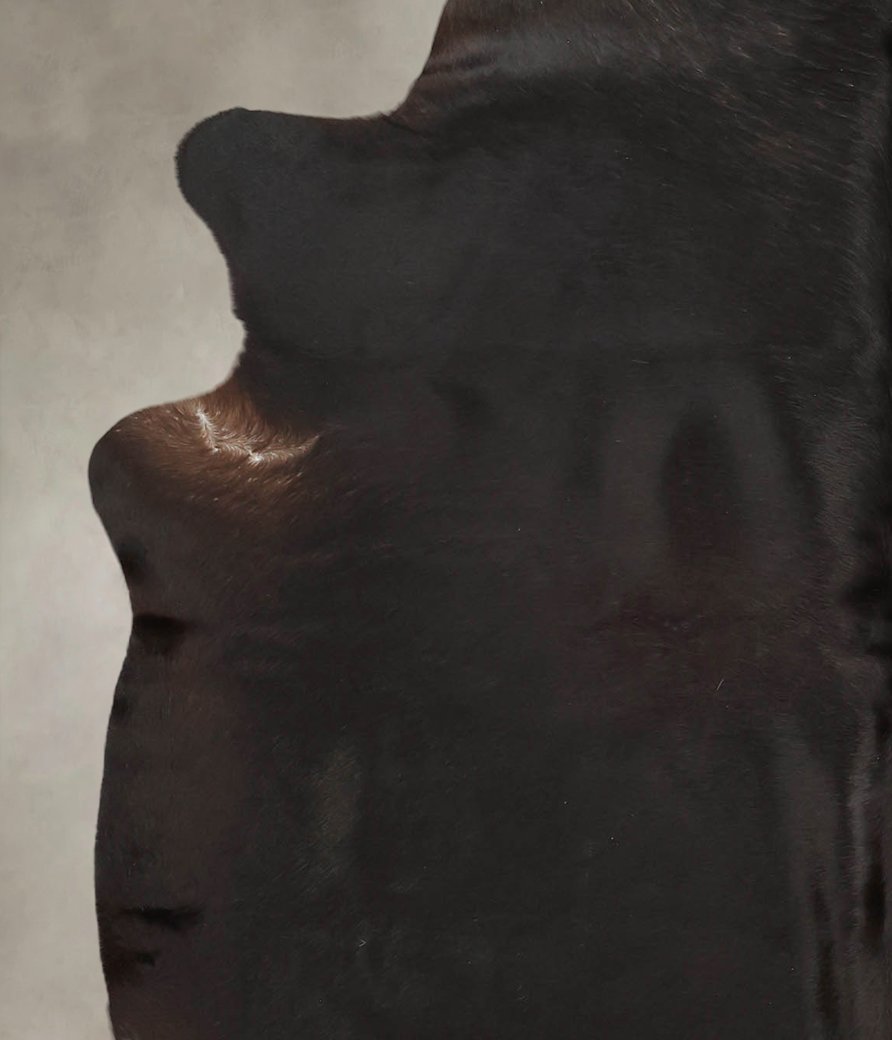 Solid Black Cowhide Rug #B2910