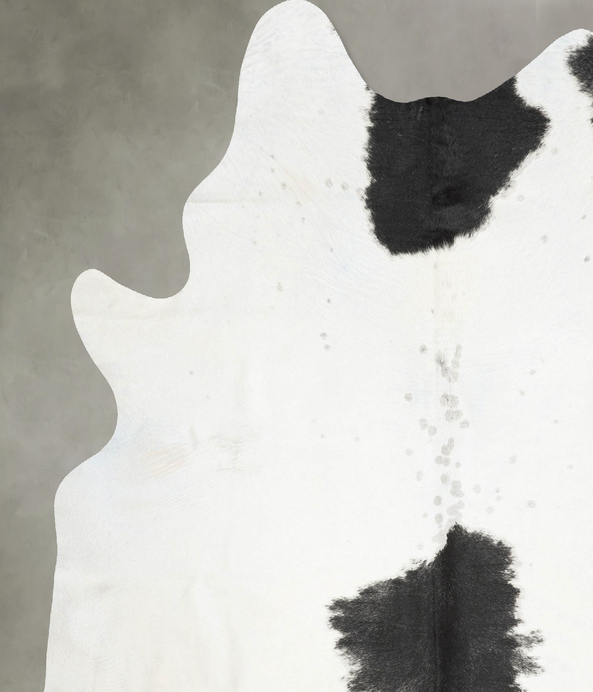 Black and White XX-Large Brazilian Cowhide Rug 8'7"H x 6'10"W #B29112 by Hudson Hides
