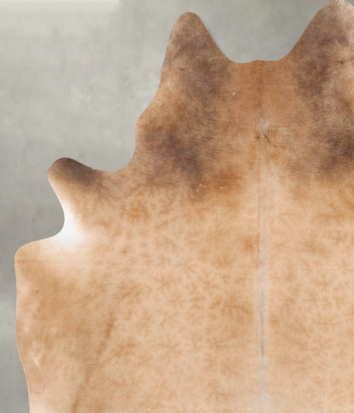 Beige XX-Large Brazilian Cowhide Rug 8'2"H x 6'4"W #B29115 by Hudson Hides