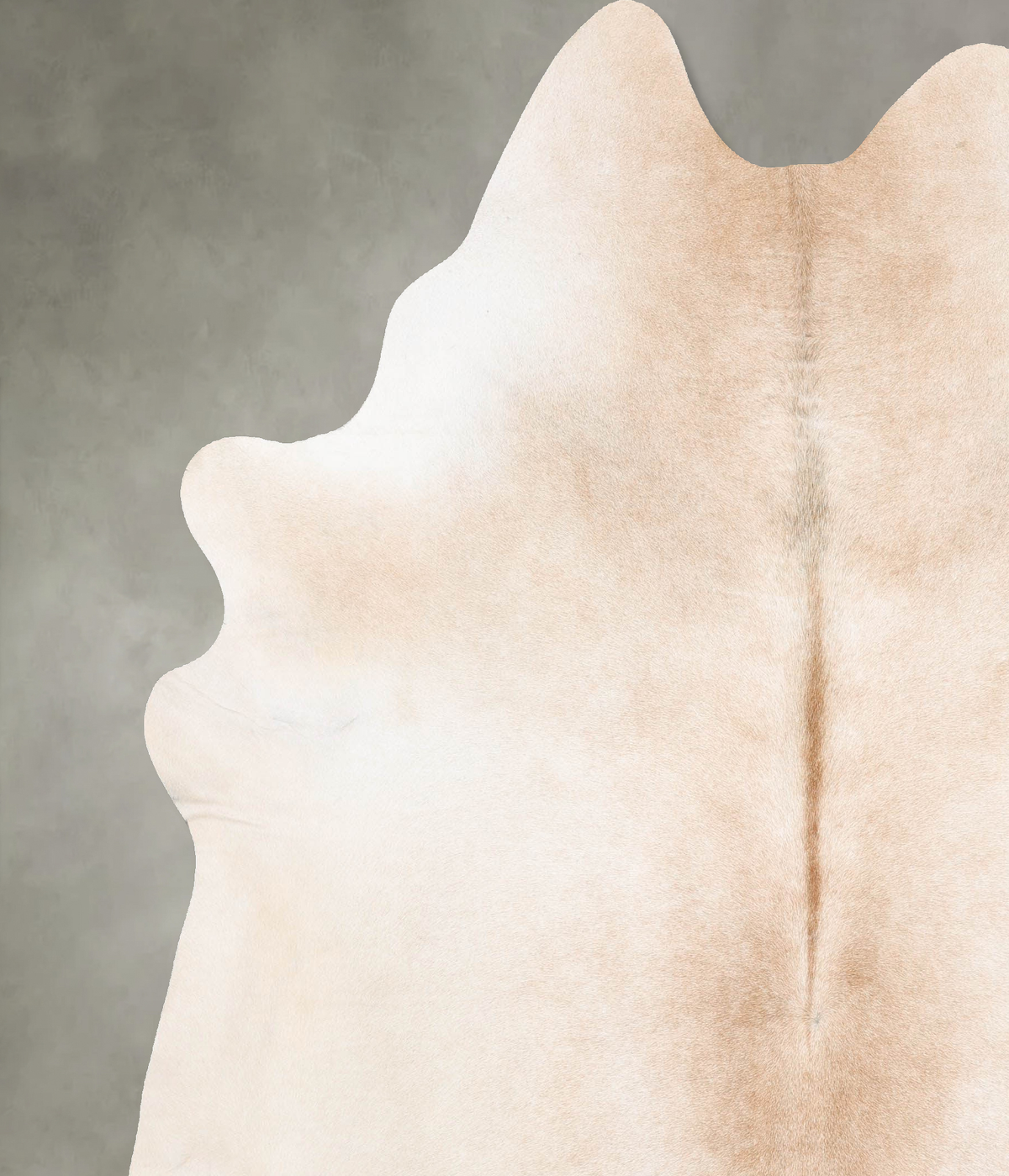 Light Caramel XX-Large Brazilian Cowhide Rug 8'3"H x 7'2"W #B29122 by Hudson Hides