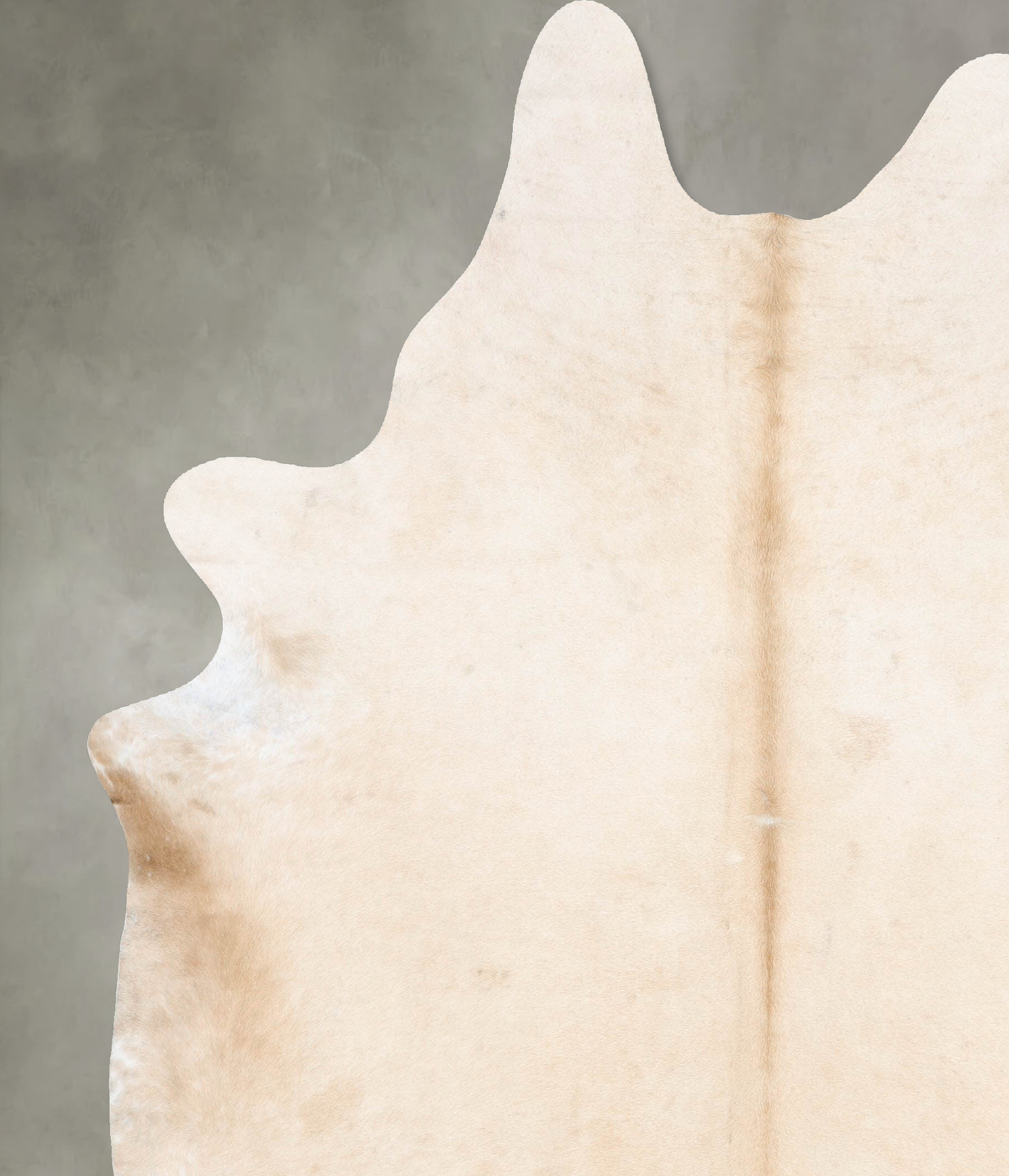 Palomino XX-Large Brazilian Cowhide Rug 8'8"H x 7'2"W #B29130 by Hudson Hides