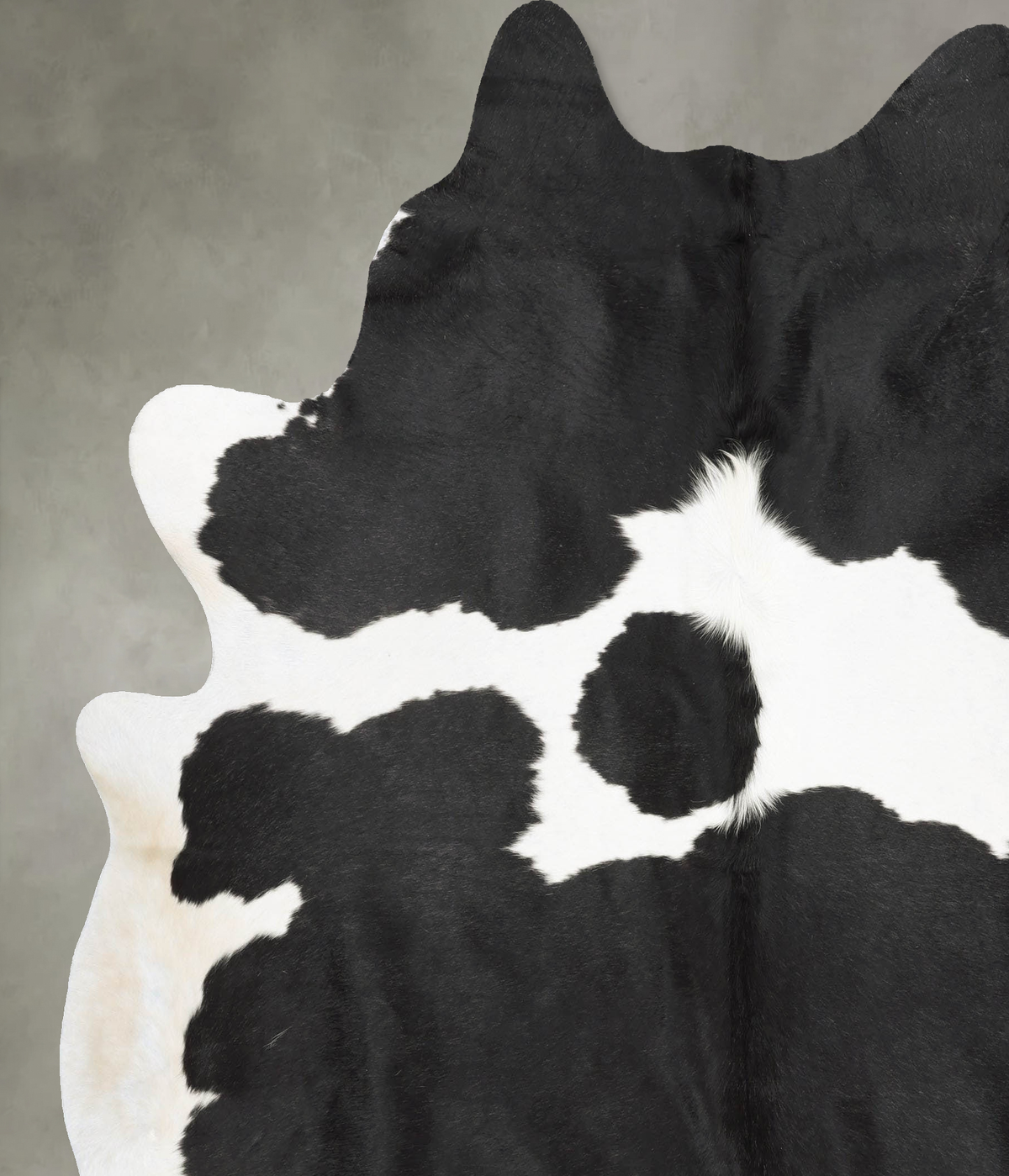 Black and White XX-Large Brazilian Cowhide Rug 7'11"H x 7'1"W #B29131 by Hudson Hides