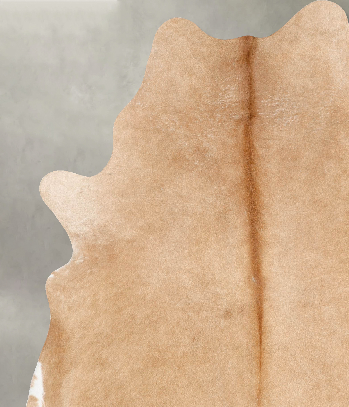 Beige X-Large Brazilian Cowhide Rug 7'8"H x 6'1"W #B29135 by Hudson Hides