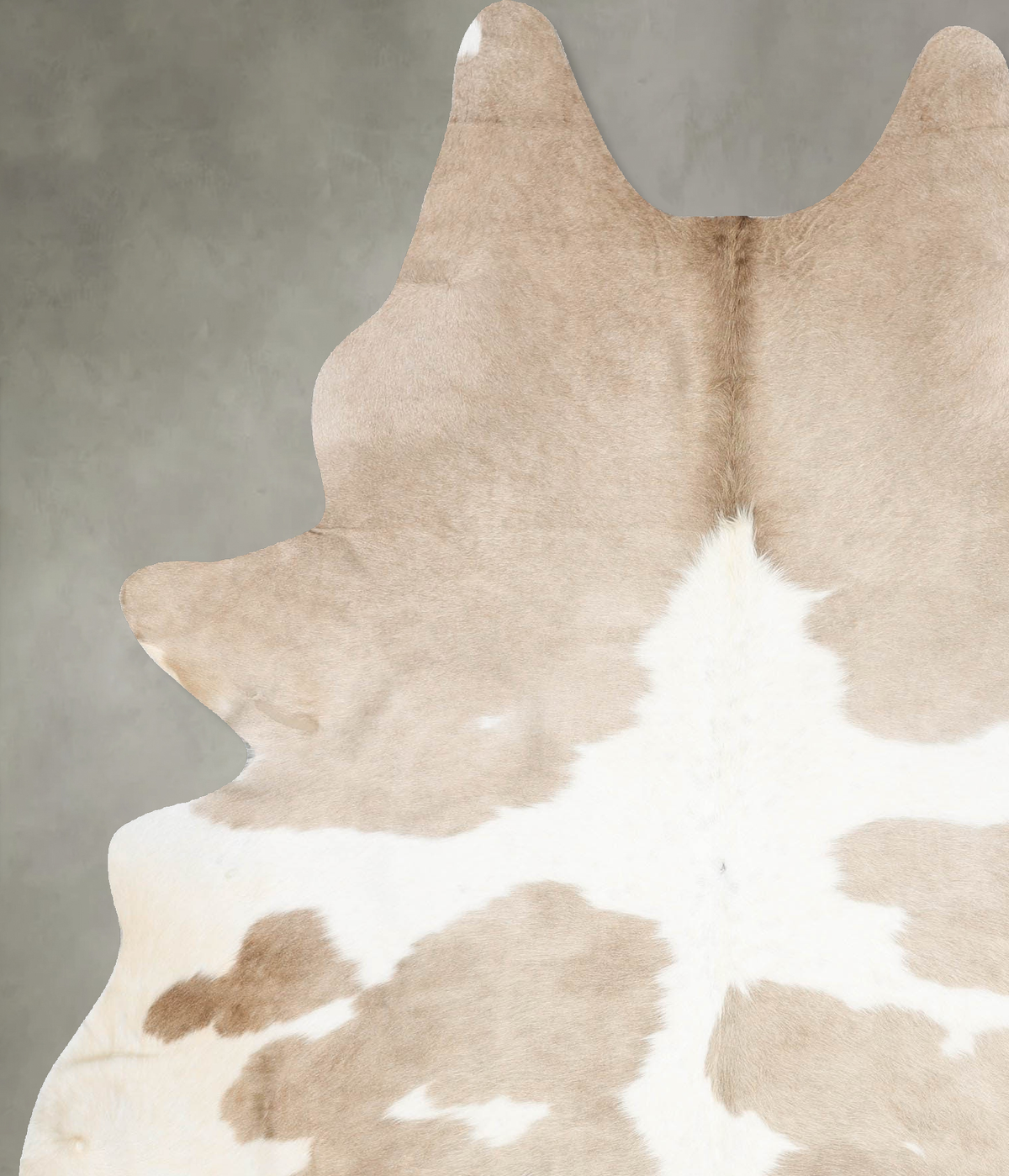 Beige and White X-Large Brazilian Cowhide Rug 8'1"H x 5'11"W #B29137 by Hudson Hides