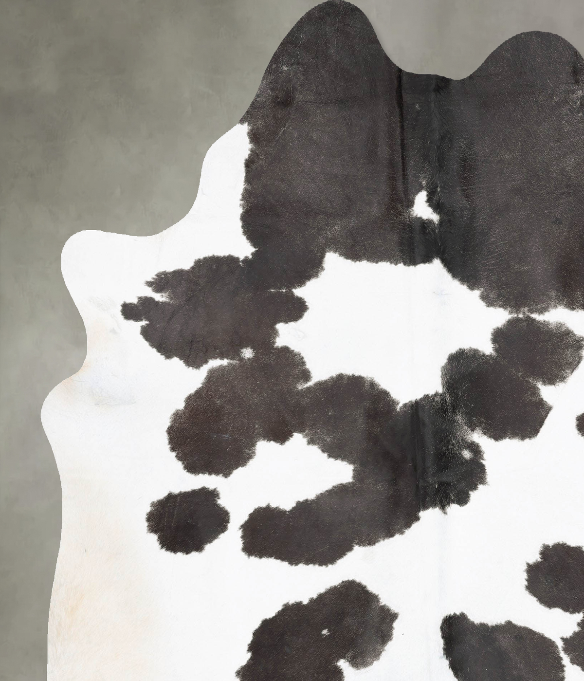 Black and White XX-Large Brazilian Cowhide Rug 7'11"H x 6'4"W #B29142 by Hudson Hides