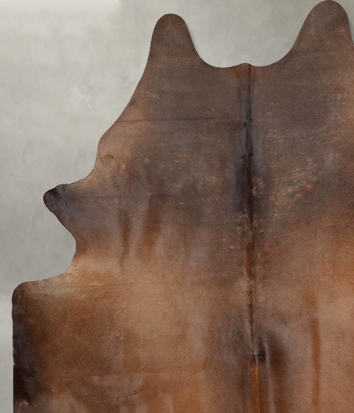 Chocolate XX-Large Brazilian Cowhide Rug 8'2"H x 6'5"W #B29156 by Hudson Hides