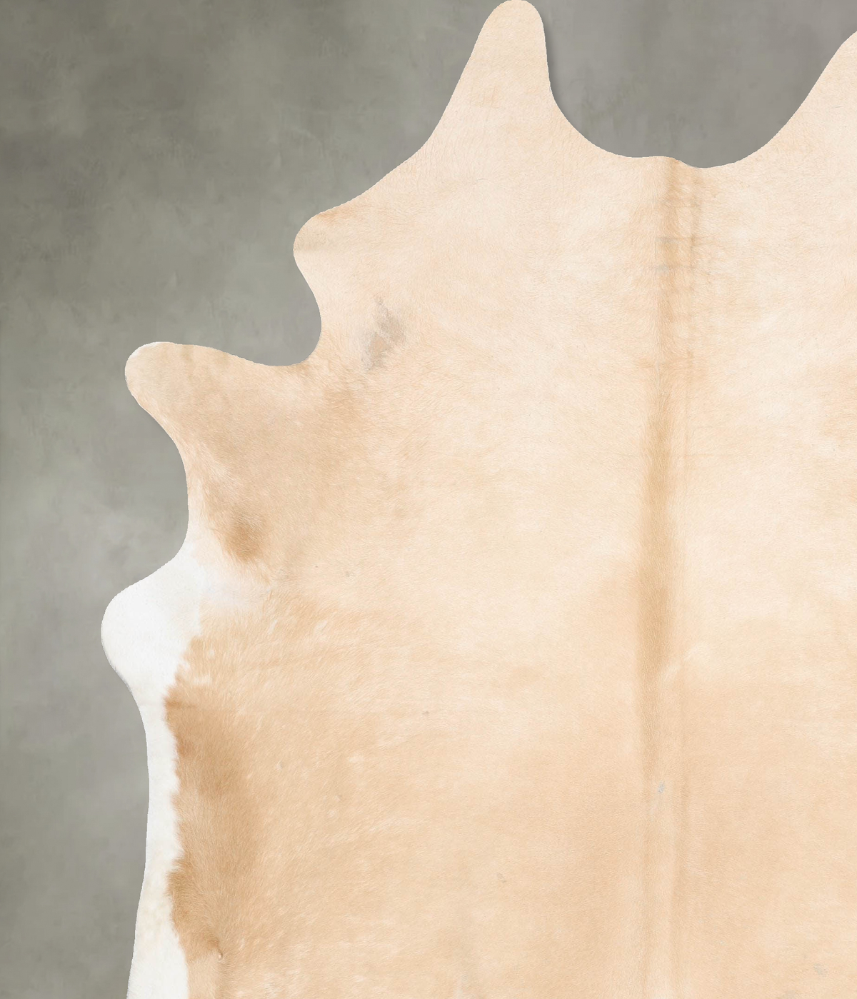 Beige and White XX-Large Brazilian Cowhide Rug 8'7"H x 7'3"W #B29162 by Hudson Hides