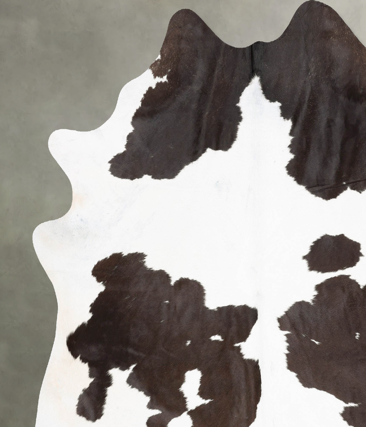 Chocolate and White XX-Large Brazilian Cowhide Rug 7'8"H x 6'8"W #B29167 by Hudson Hides
