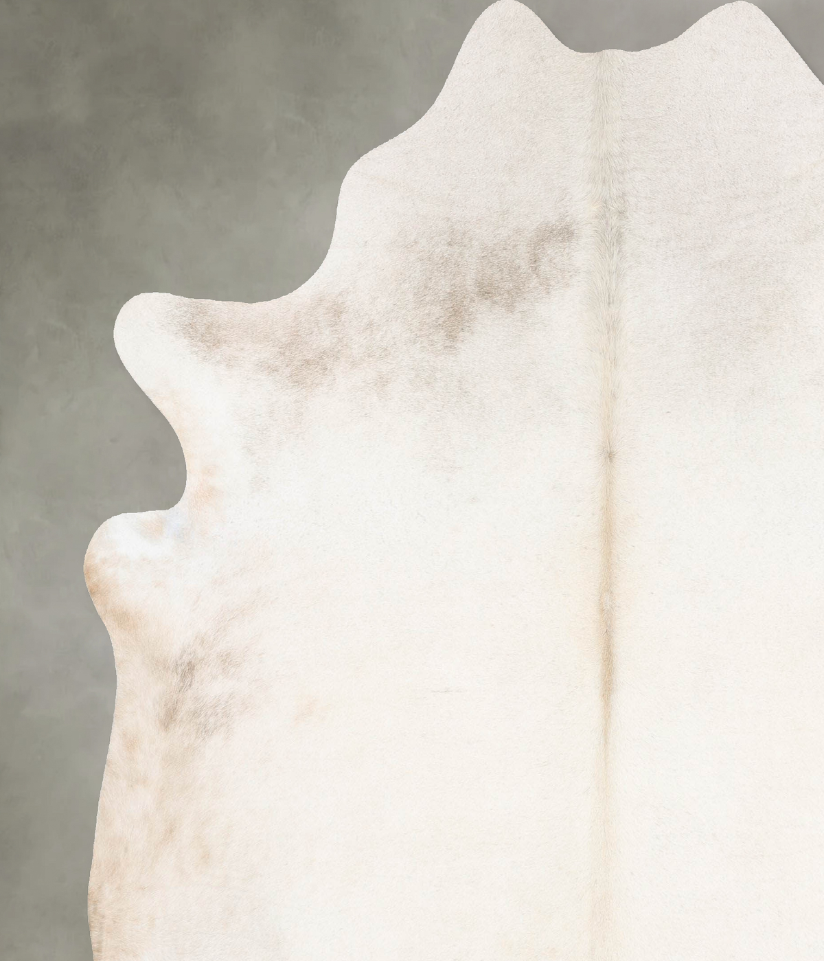 Champagne XX-Large Brazilian Cowhide Rug 7'8"H x 7'3"W #B29168 by Hudson Hides