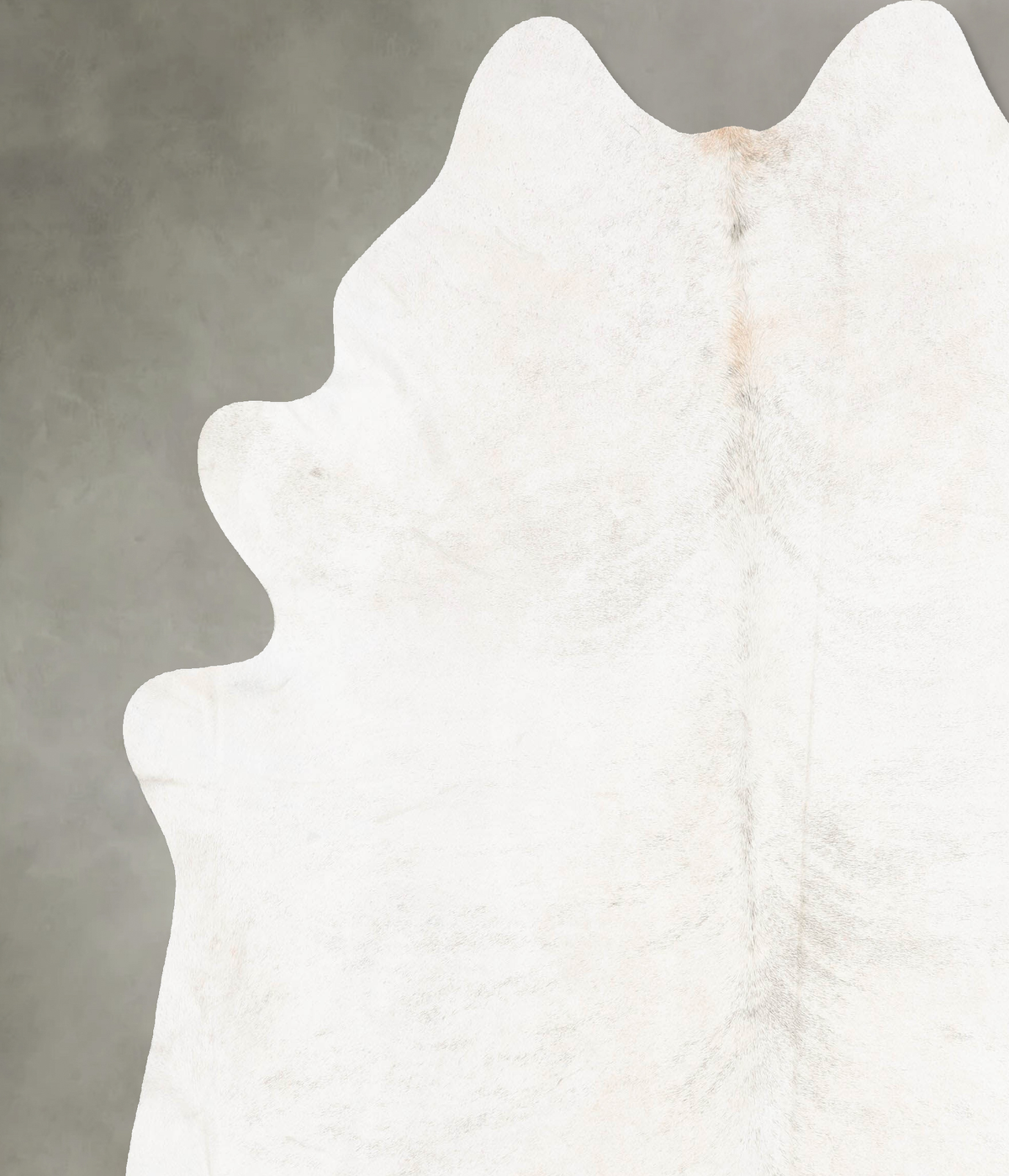 Ivory with Beige XX-Large Brazilian Cowhide Rug 8'3"H x 7'8"W #B29170 by Hudson Hides