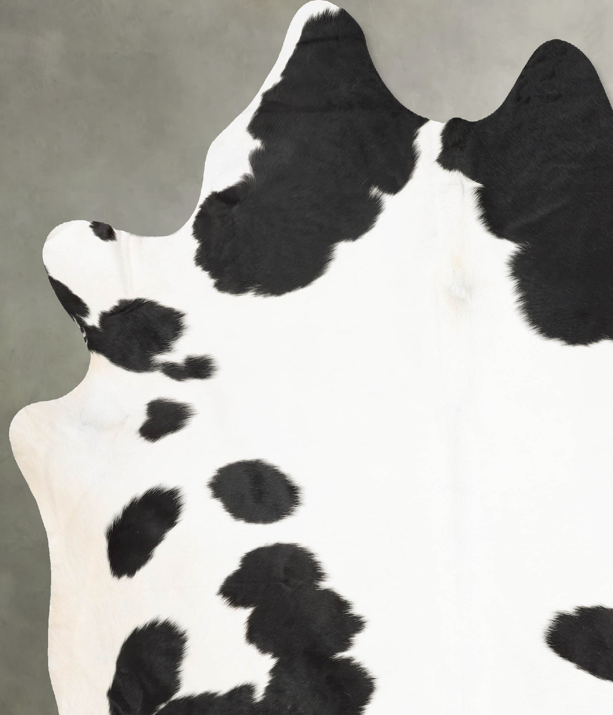 Black and White XX-Large Brazilian Cowhide Rug 8'3"H x 6'6"W #B29175 by Hudson Hides
