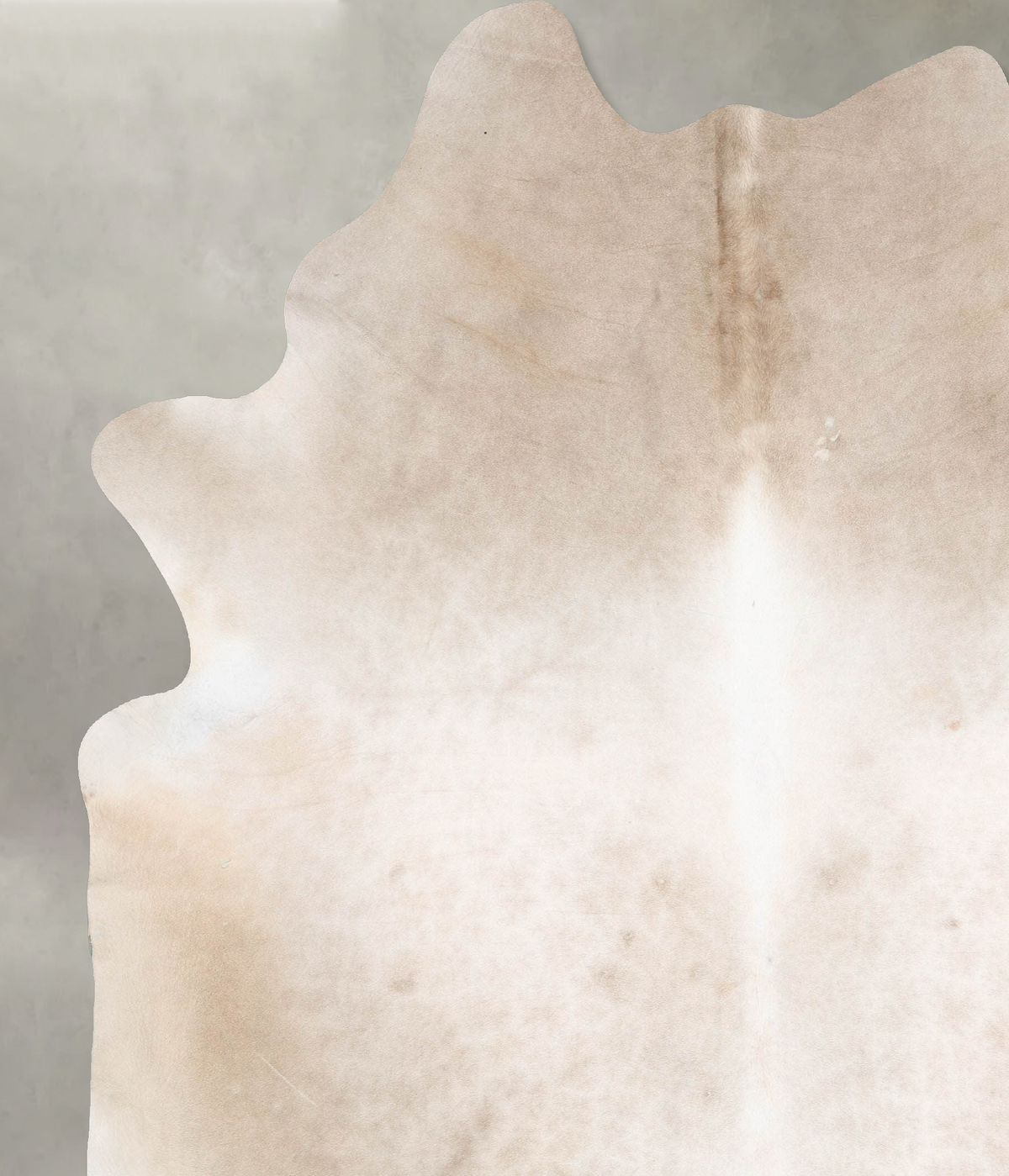Champagne XX-Large Brazilian Cowhide Rug 8'11"H x 7'1"W #B29176 by Hudson Hides