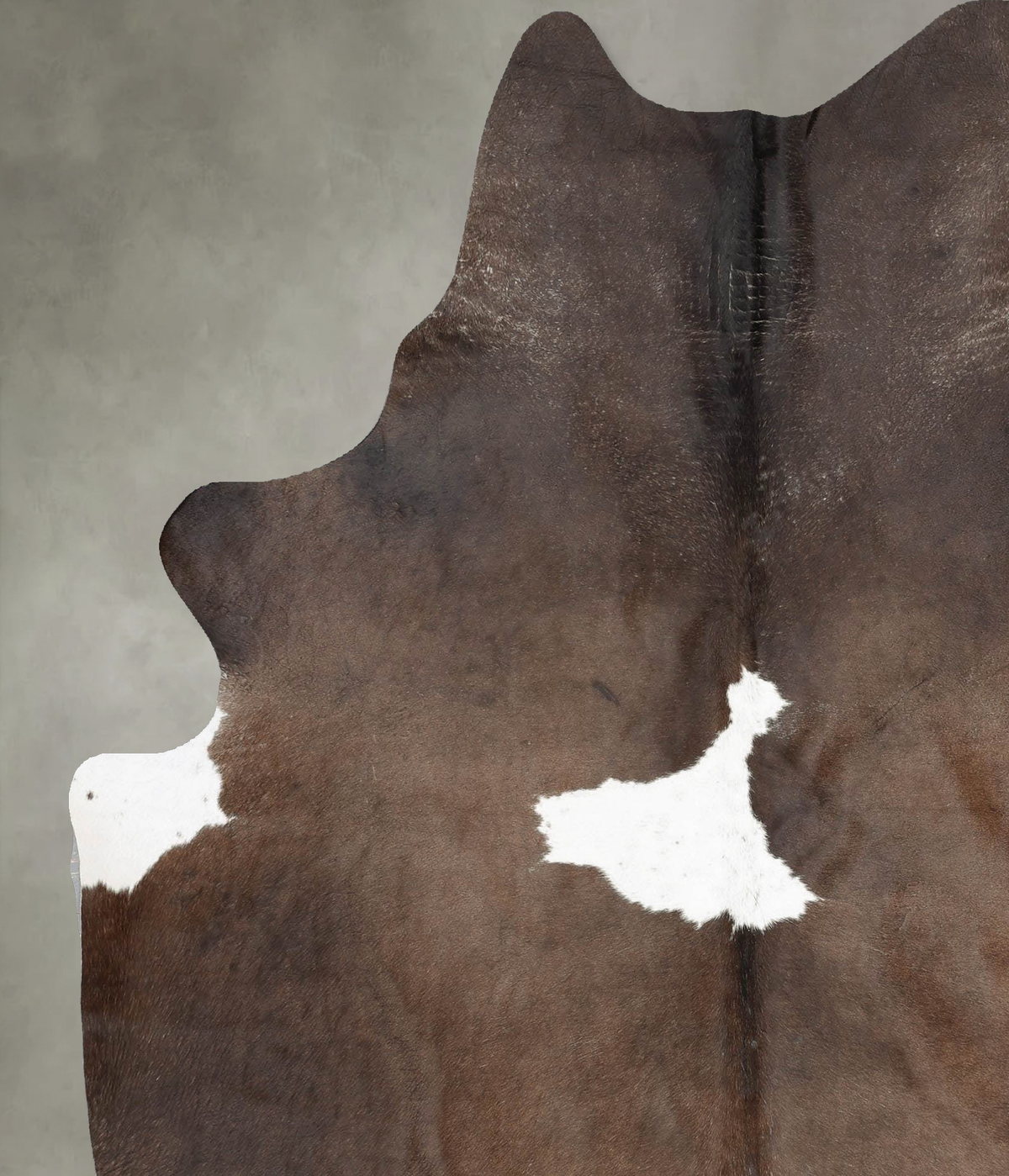 Chocolate and White X-Large Brazilian Cowhide Rug 7'8"H x 6'3"W #B29177 by Hudson Hides