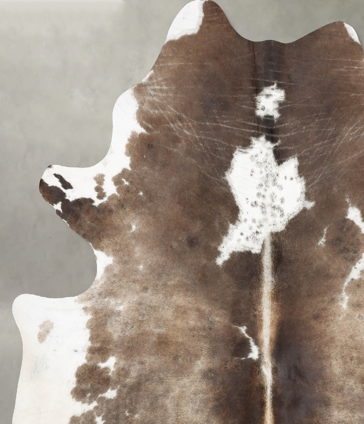 Taupe XX-Large Brazilian Cowhide Rug 8'1"H x 6'9"W #B29188 by Hudson Hides