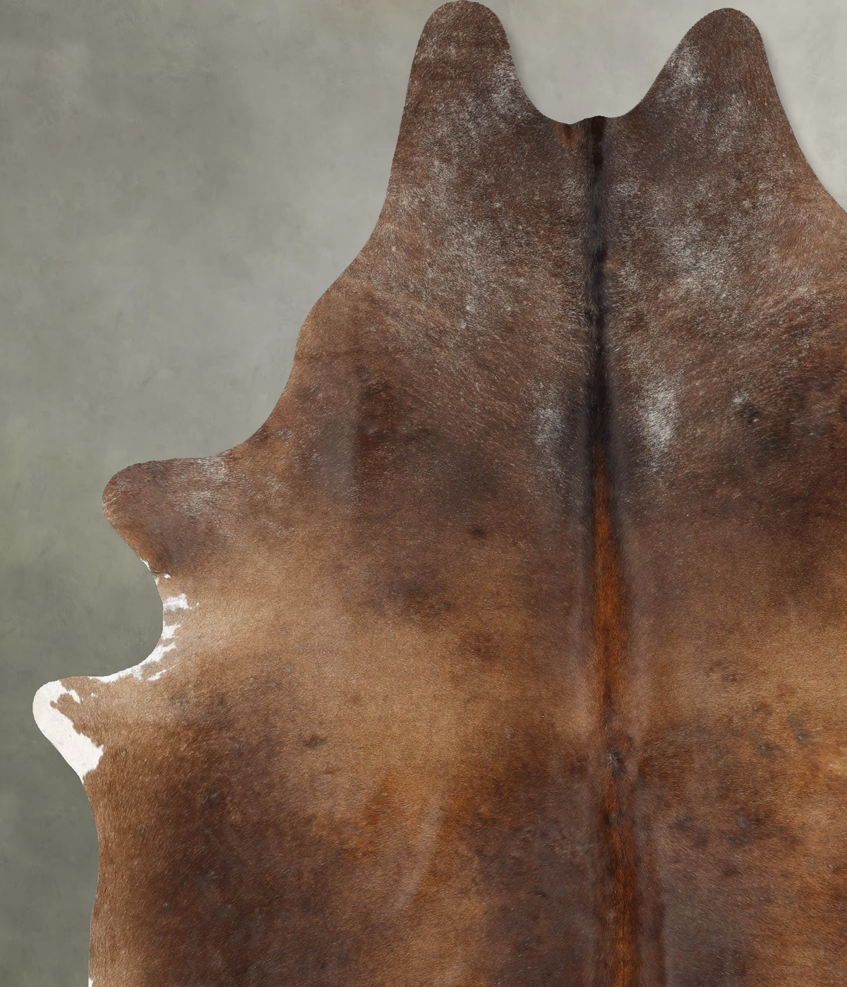 Chocolate XX-Large Brazilian Cowhide Rug 8'6"H x 6'9"W #B29193 by Hudson Hides