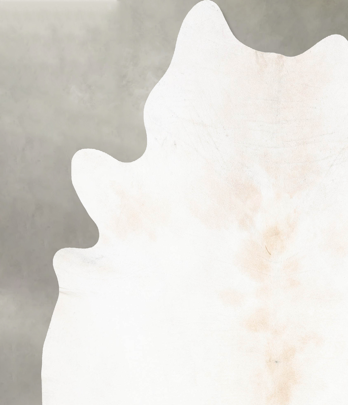 Ivory with Beige XX-Large Brazilian Cowhide Rug 8'5"H x 6'8"W #B29195 by Hudson Hides