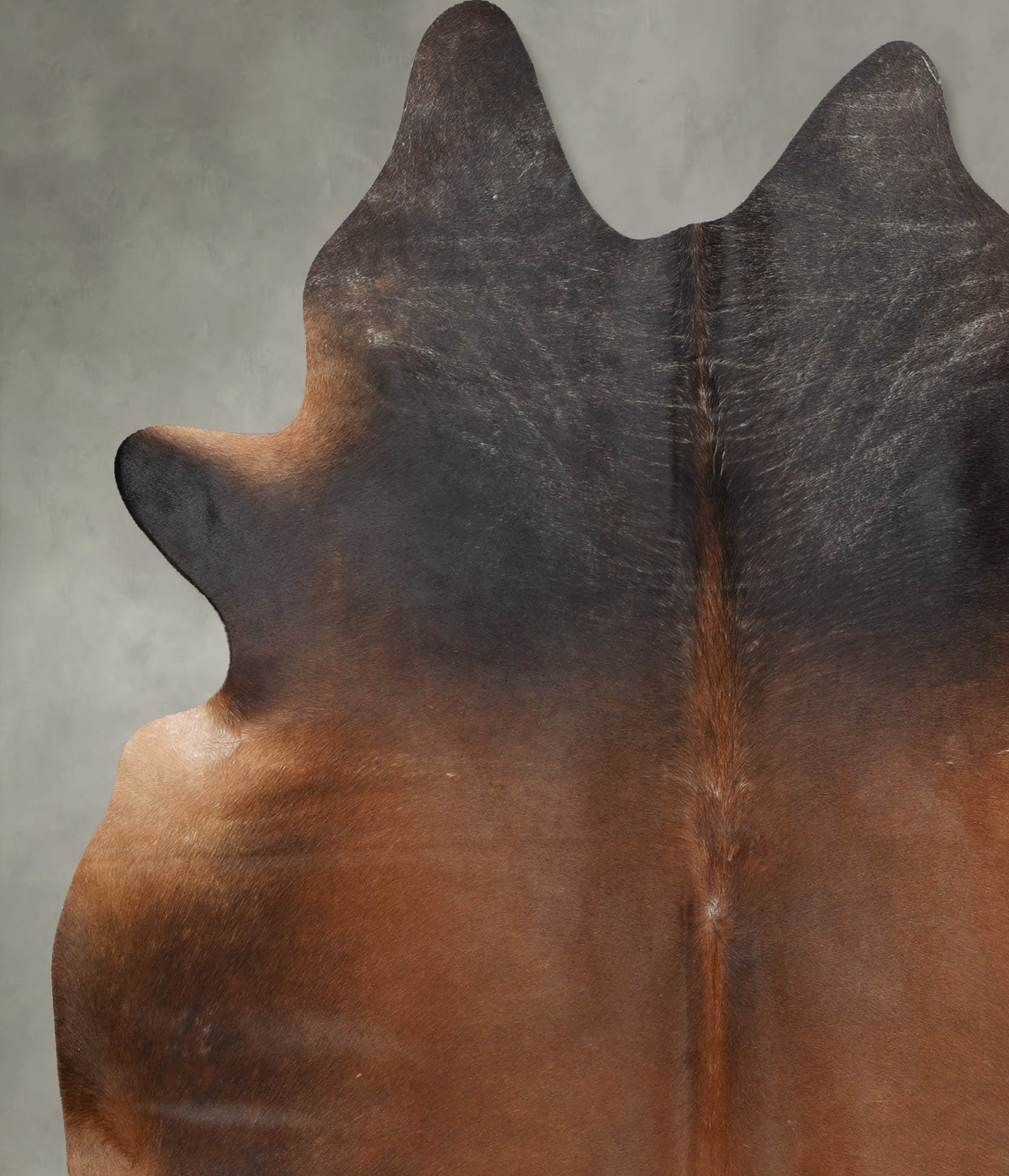 Warm Caramel XX-Large Brazilian Cowhide Rug 7'11"H x 6'6"W #B29196 by Hudson Hides