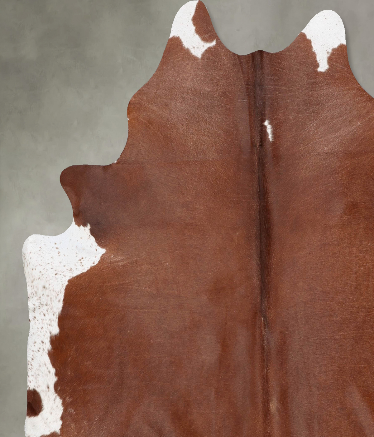 Brown and White Regular XX-Large Brazilian Cowhide Rug 7'11"H x 7'1"W #B29203 by Hudson Hides