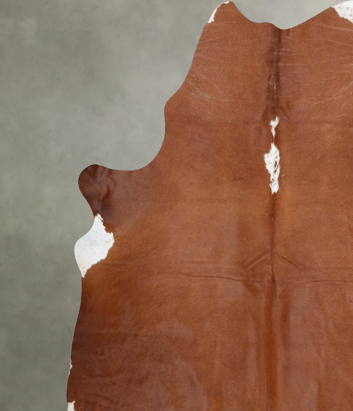 Brown and White Regular XX-Large Brazilian Cowhide Rug 8'3"H x 6'10"W #B29210 by Hudson Hides