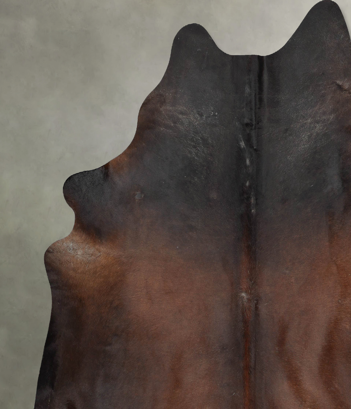 Chocolate XX-Large Brazilian Cowhide Rug 8'3"H x 7'6"W #B29215 by Hudson Hides