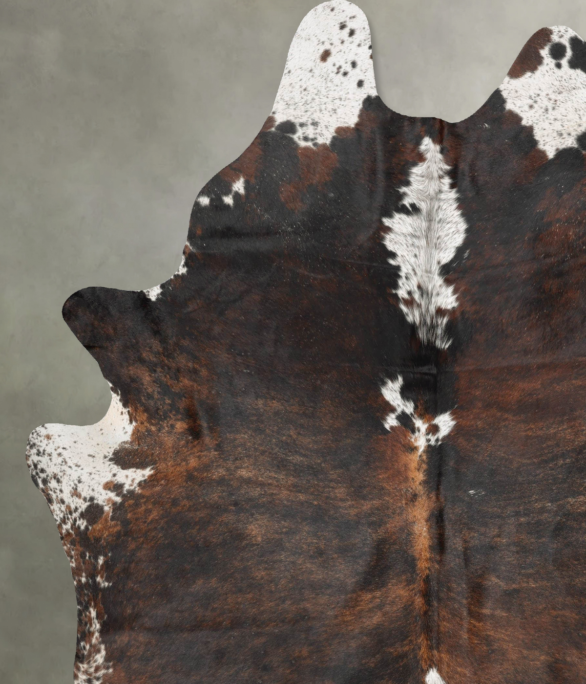 Tricolor XX-Large Brazilian Cowhide Rug 8'8"H x 7'1"W #B29221 by Hudson Hides