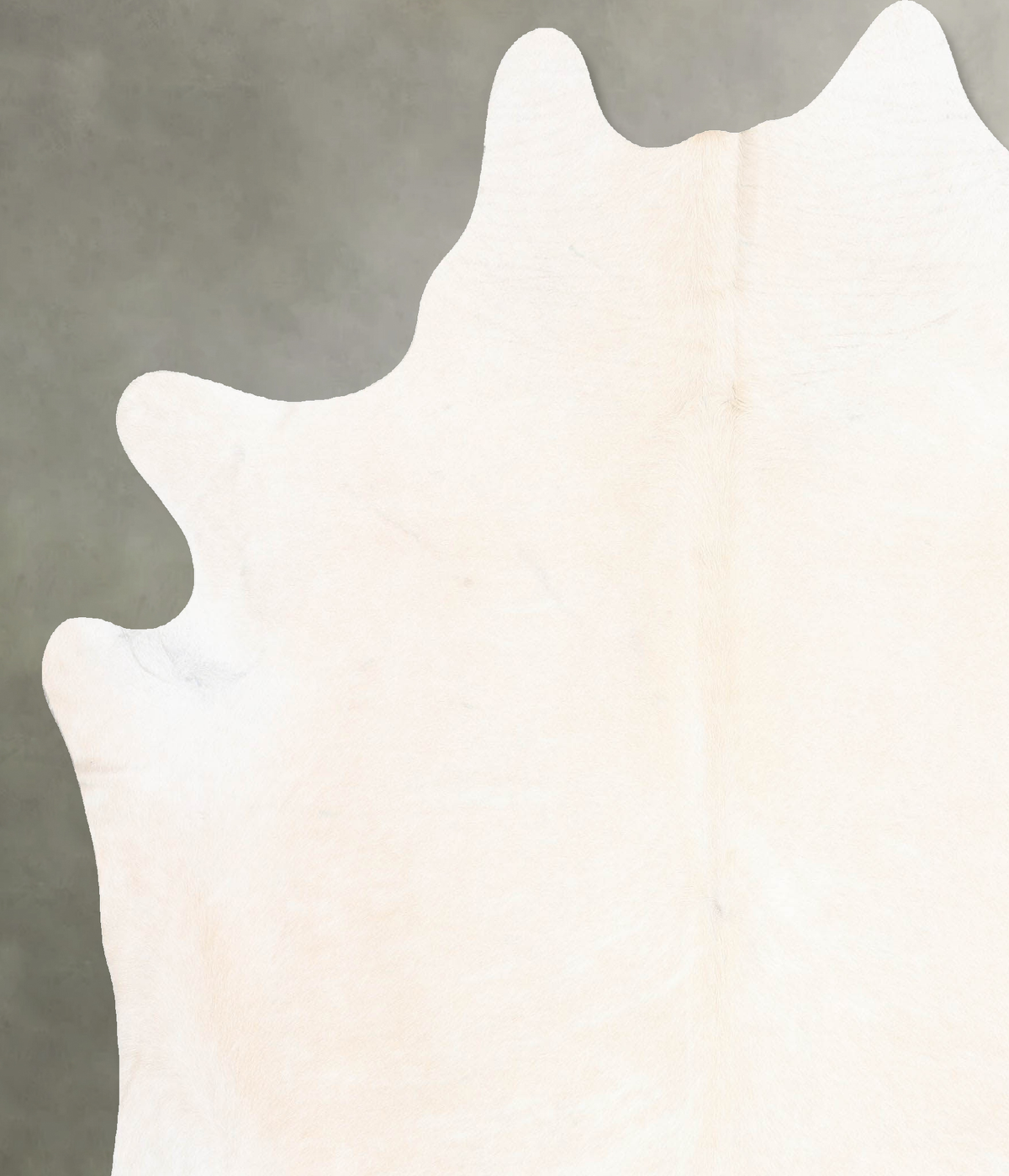 Ivory with Beige XX-Large Brazilian Cowhide Rug 8'0"H x 7'0"W #B29222 by Hudson Hides