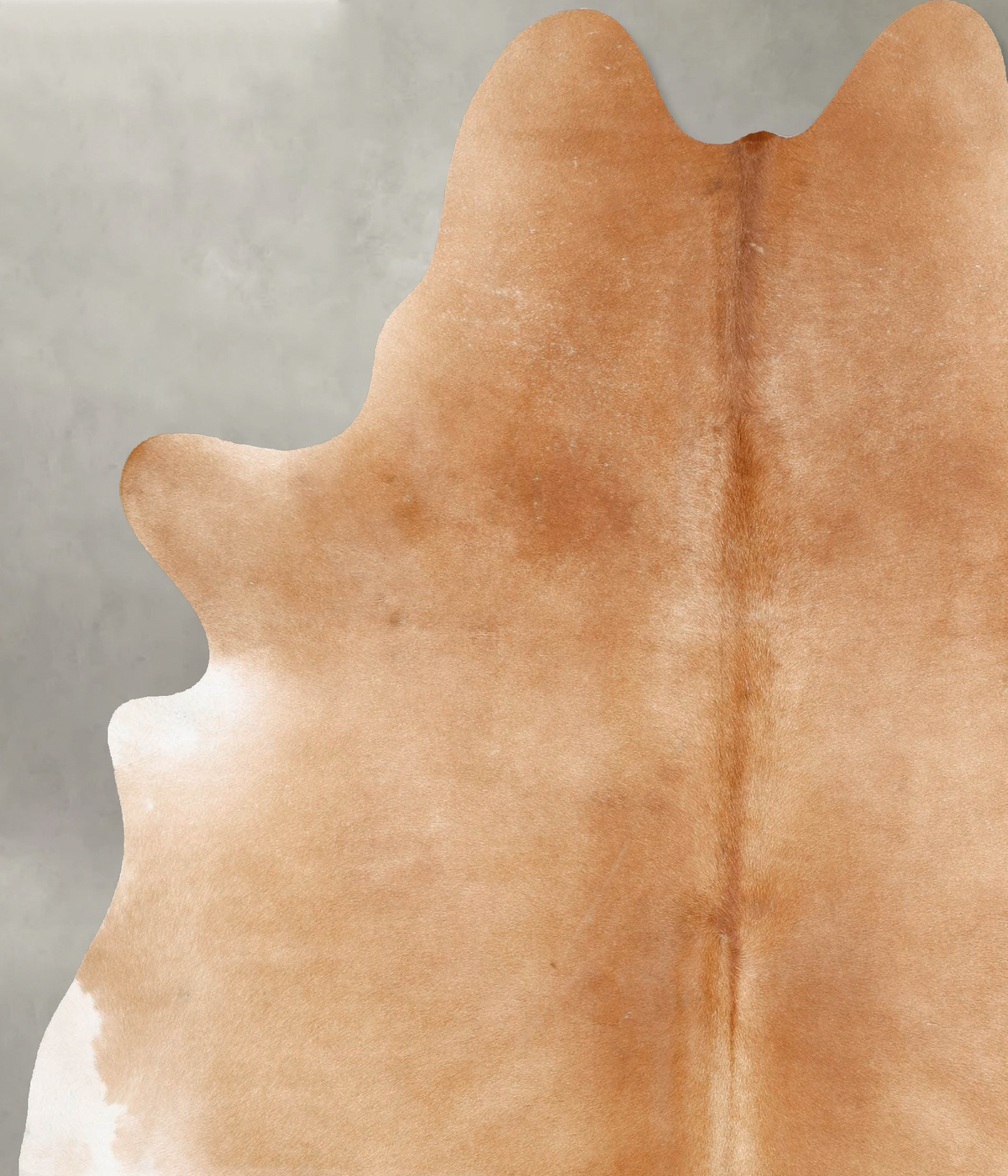 Beige X-Large Brazilian Cowhide Rug 7'10"H x 6'4"W #B29226 by Hudson Hides