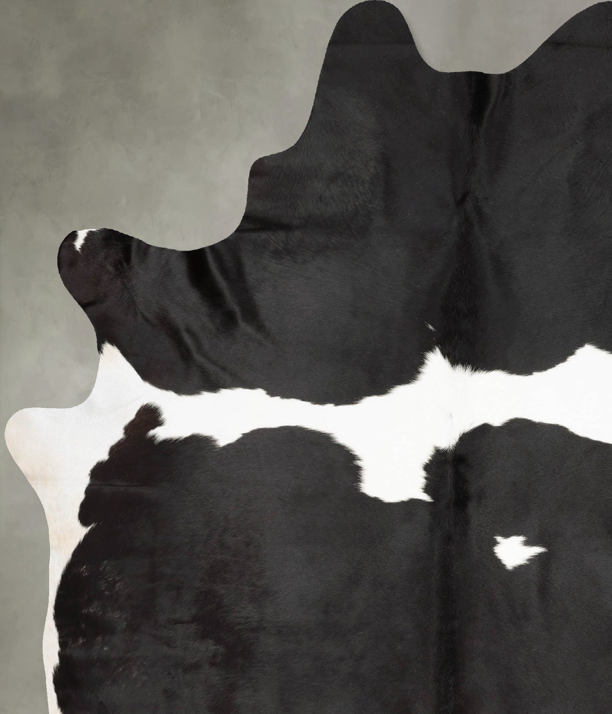 Black and White XX-Large Brazilian Cowhide Rug 9'1"H x 6'4"W #B29227 by Hudson Hides