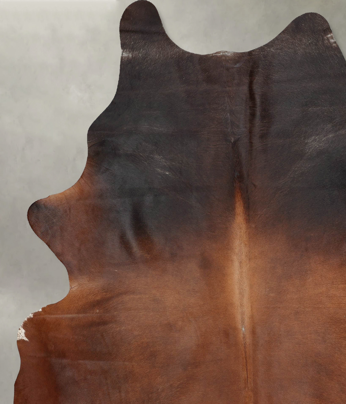 Warm Caramel XX-Large Brazilian Cowhide Rug 8'3"H x 6'5"W #B29237 by Hudson Hides
